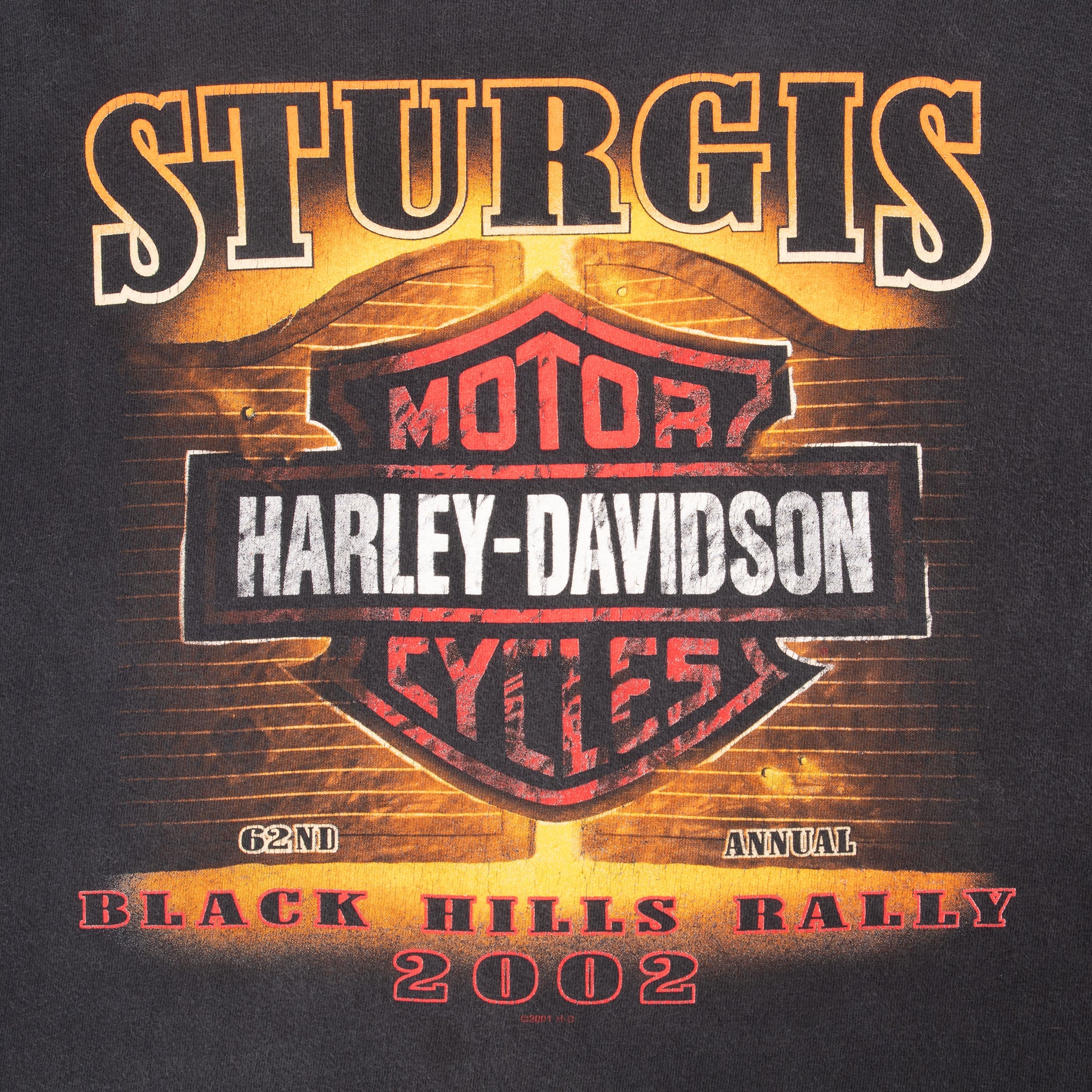 Vintage Harley Davidson Sturgis Black Hills Rally 2002 Tee Shirt Size XL Made In Usaå