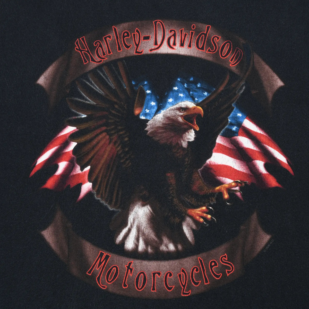 Close-up of Harley-Davidson front print with bald eagle and American flags
