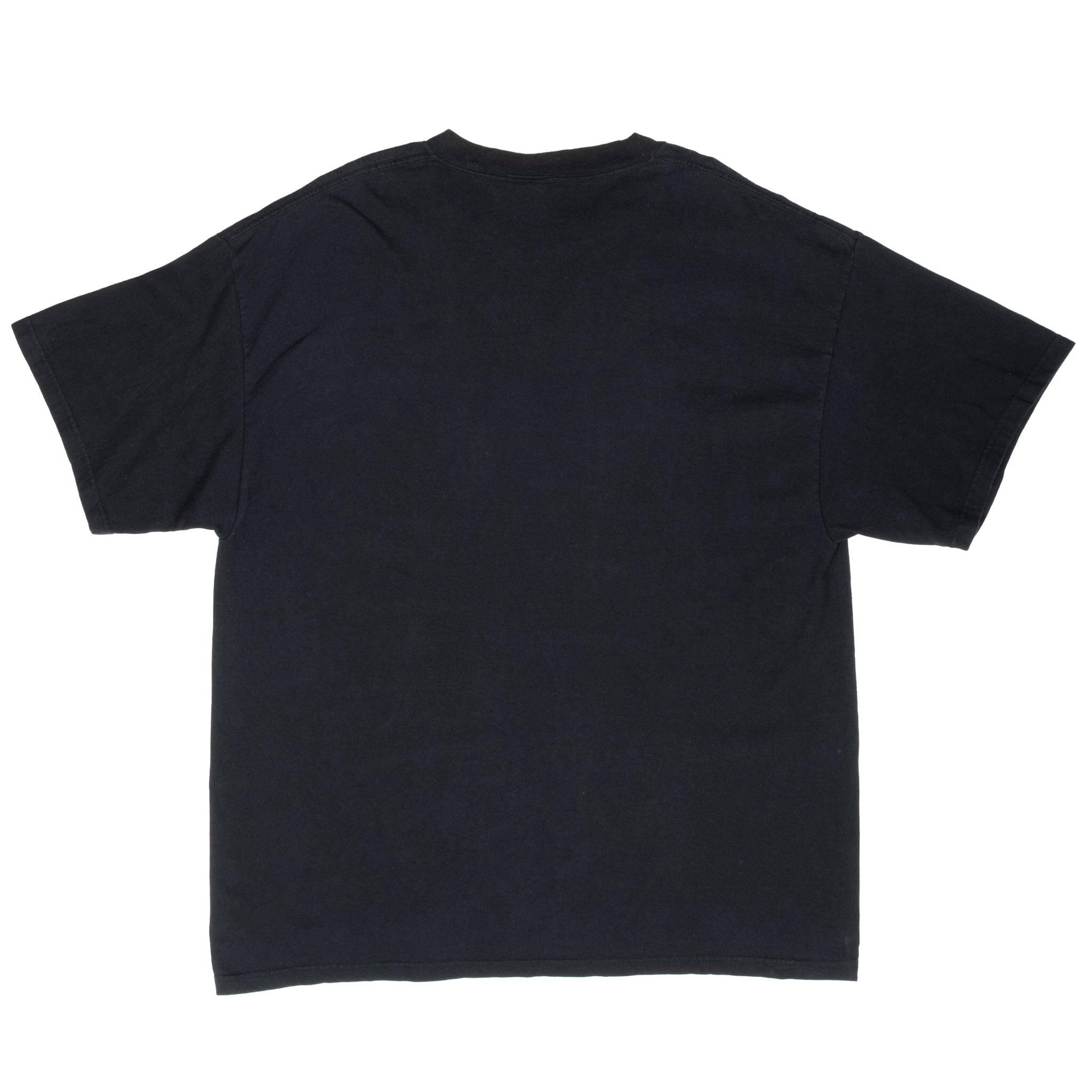 Vintage Looney Tunes Tweety Sorry If Its Not My Day To Care Tee Shirt 1990S Size XL