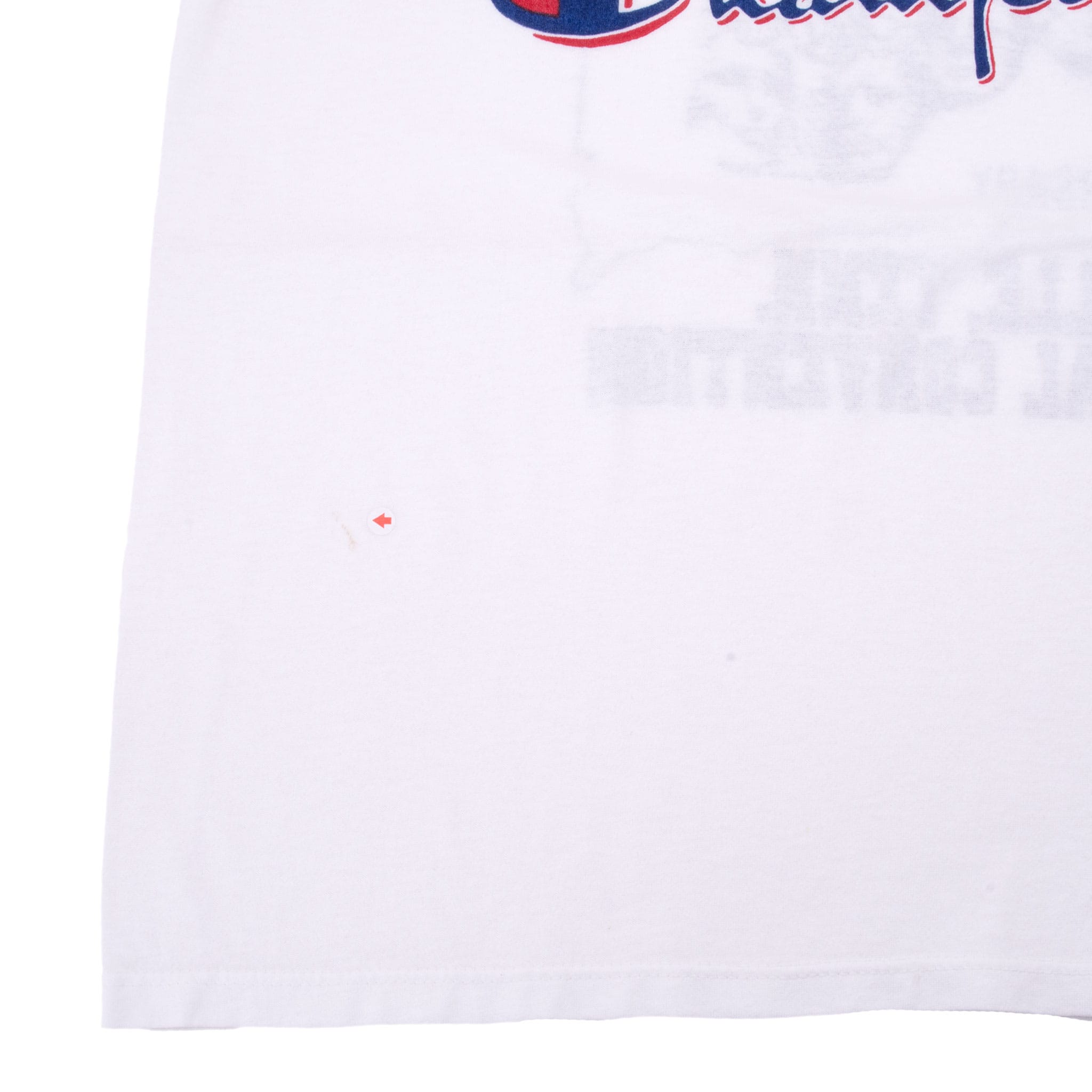 VINTAGE CHAMPION MOUNT RUSHMORE TEE SHIRT 1980S LARGE MADE IN USA