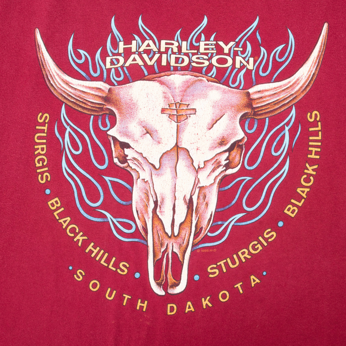 Front graphic detail of horned skull, blue flames and Sturgis Black Hills South Dakota text