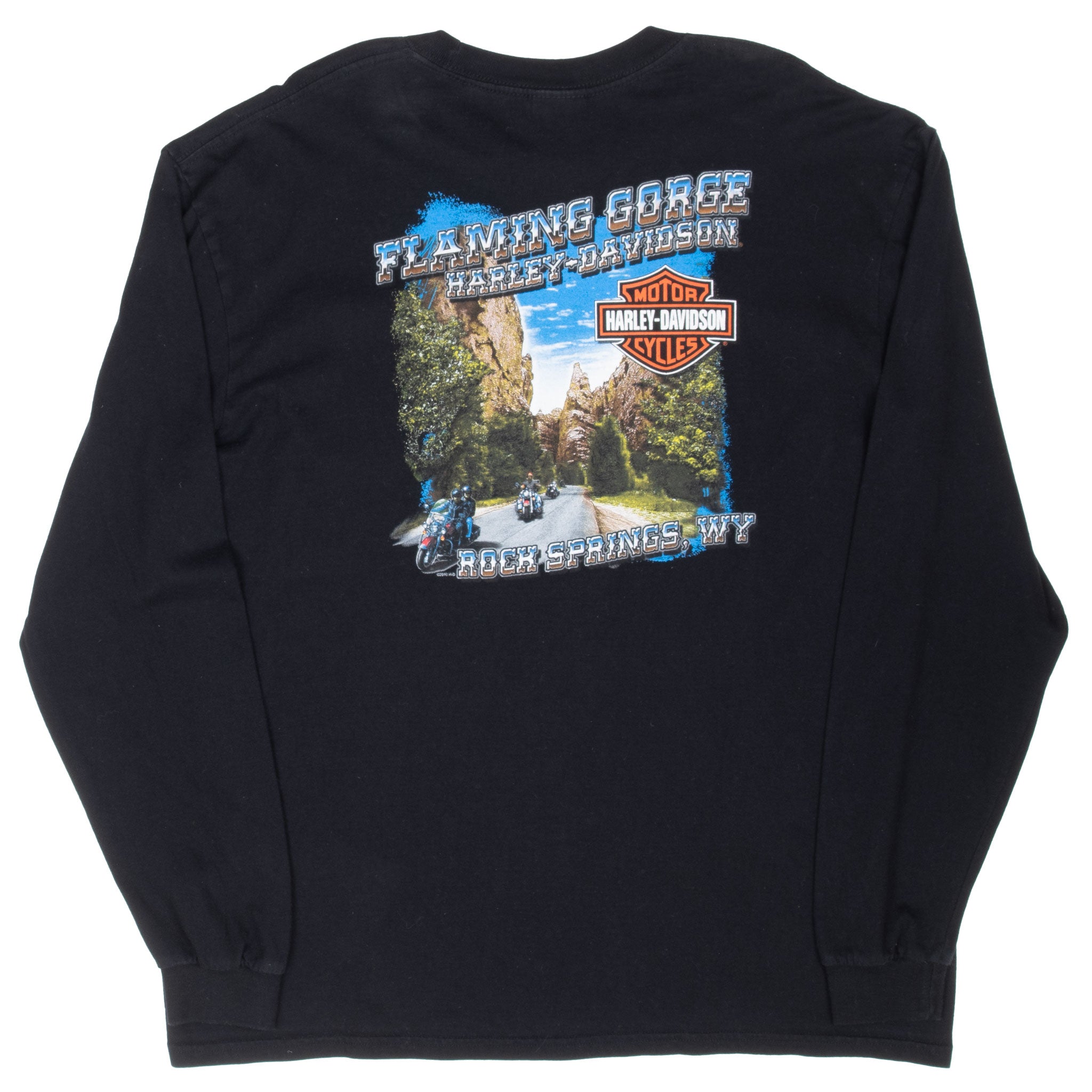 Vintage Harley Davidson Flaming Gorges 2010 Tee Shirt Size XL