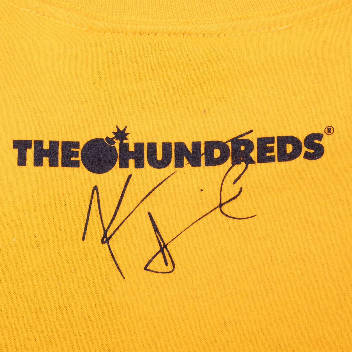 Close-up of The Hundreds logo and signature-style print at the upper back