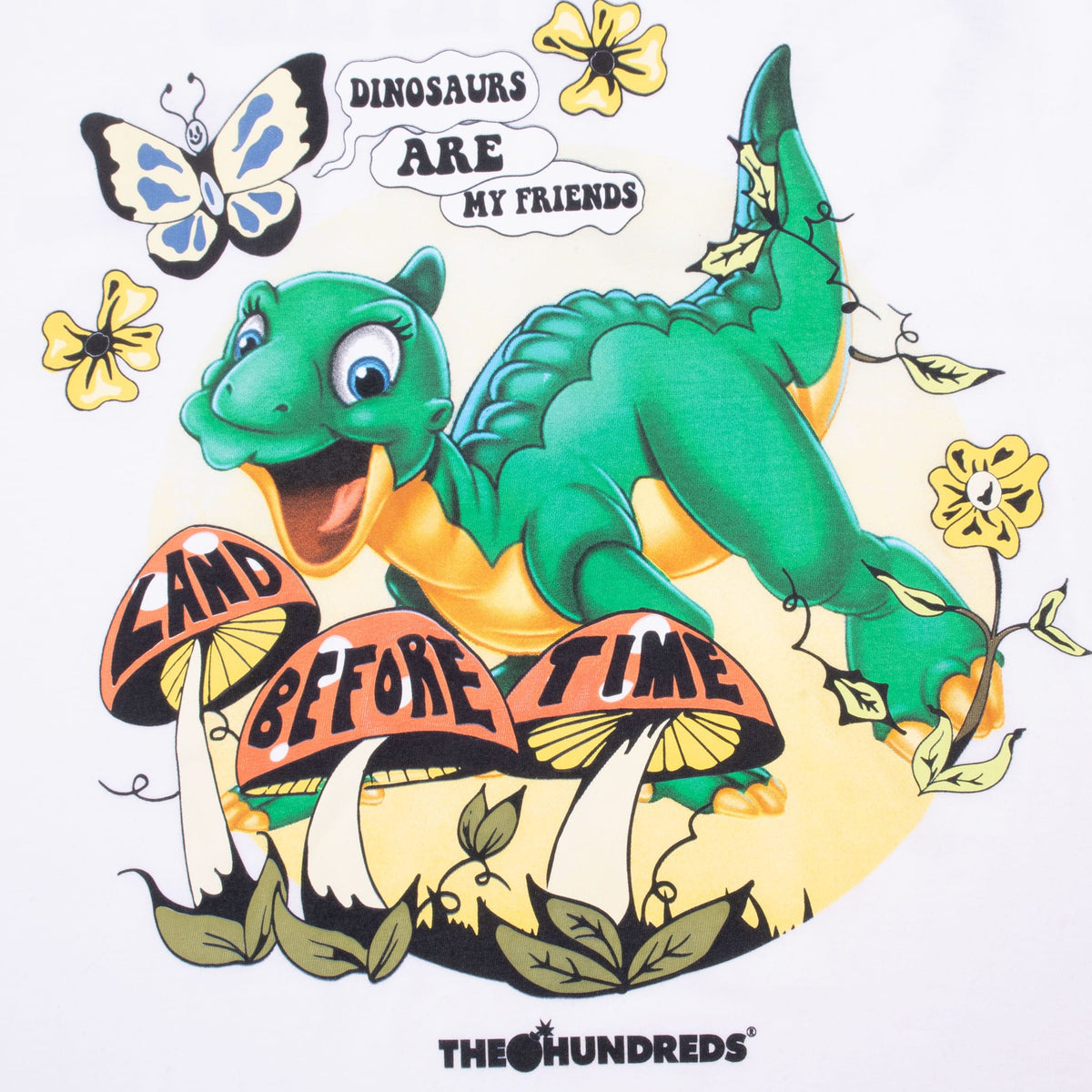 Front graphic detail with green dinosaur, mushrooms, flowers, butterfly, and Dinosaurs Are My Friends text