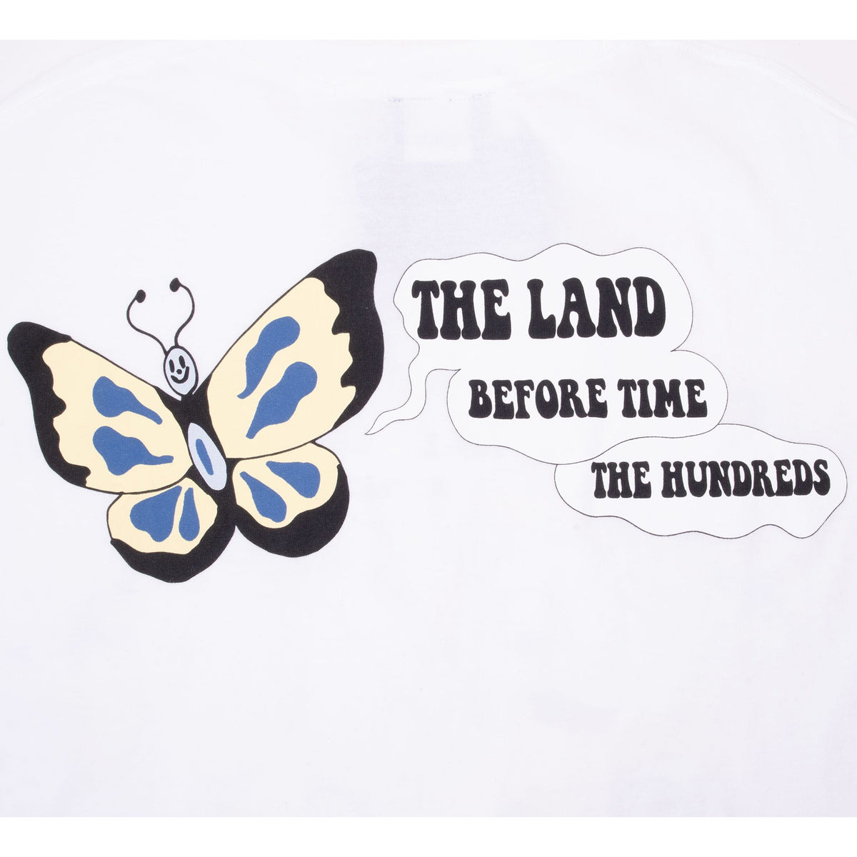 Upper-back graphic detail with butterfly and The Land Before Time x The Hundreds lettering