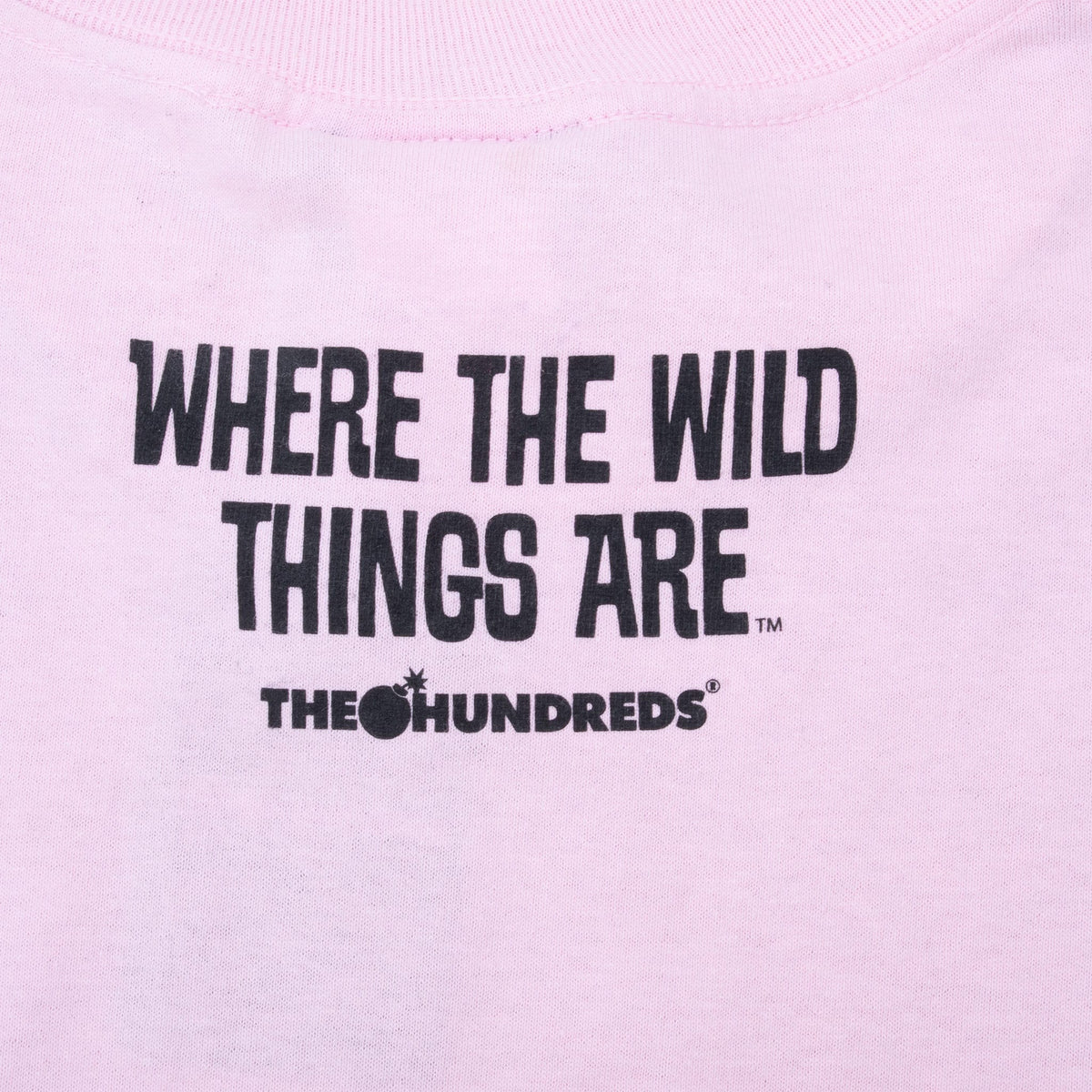 Upper-back Where the Wild Things Are and The Hundreds black logo print on pink fabric