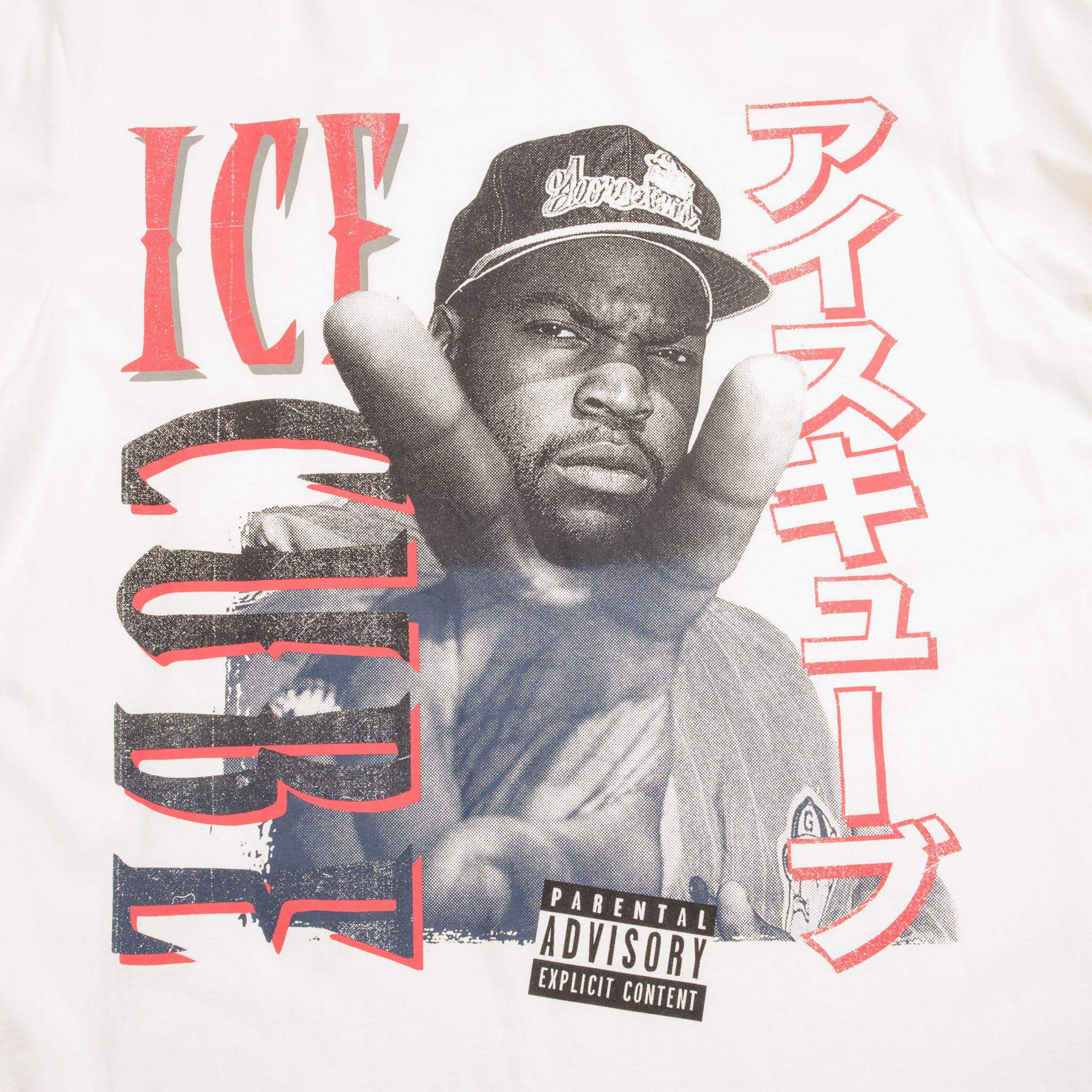 VINTAGE ICE CUBE TEE SHIRT SIZE LARGE