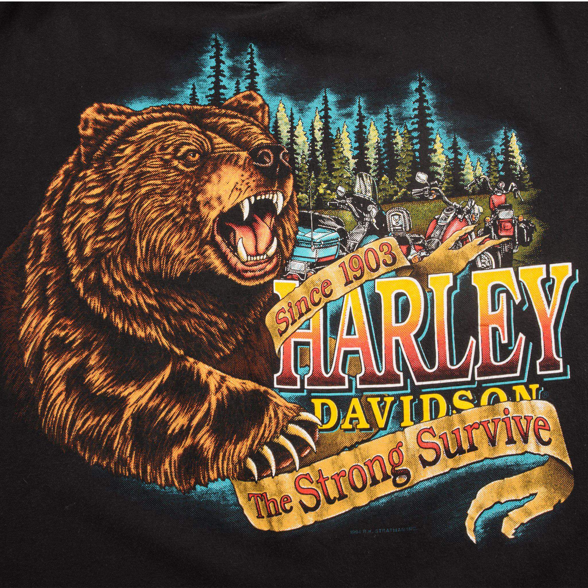 VINTAGE HARLEY DAVIDSON TEE SHIRT 1994 SIZE XL MADE IN USA