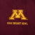Vintage Nike Ncaa Minnesota Golden Gophers Windbreaker Jacket 2000S Size XL