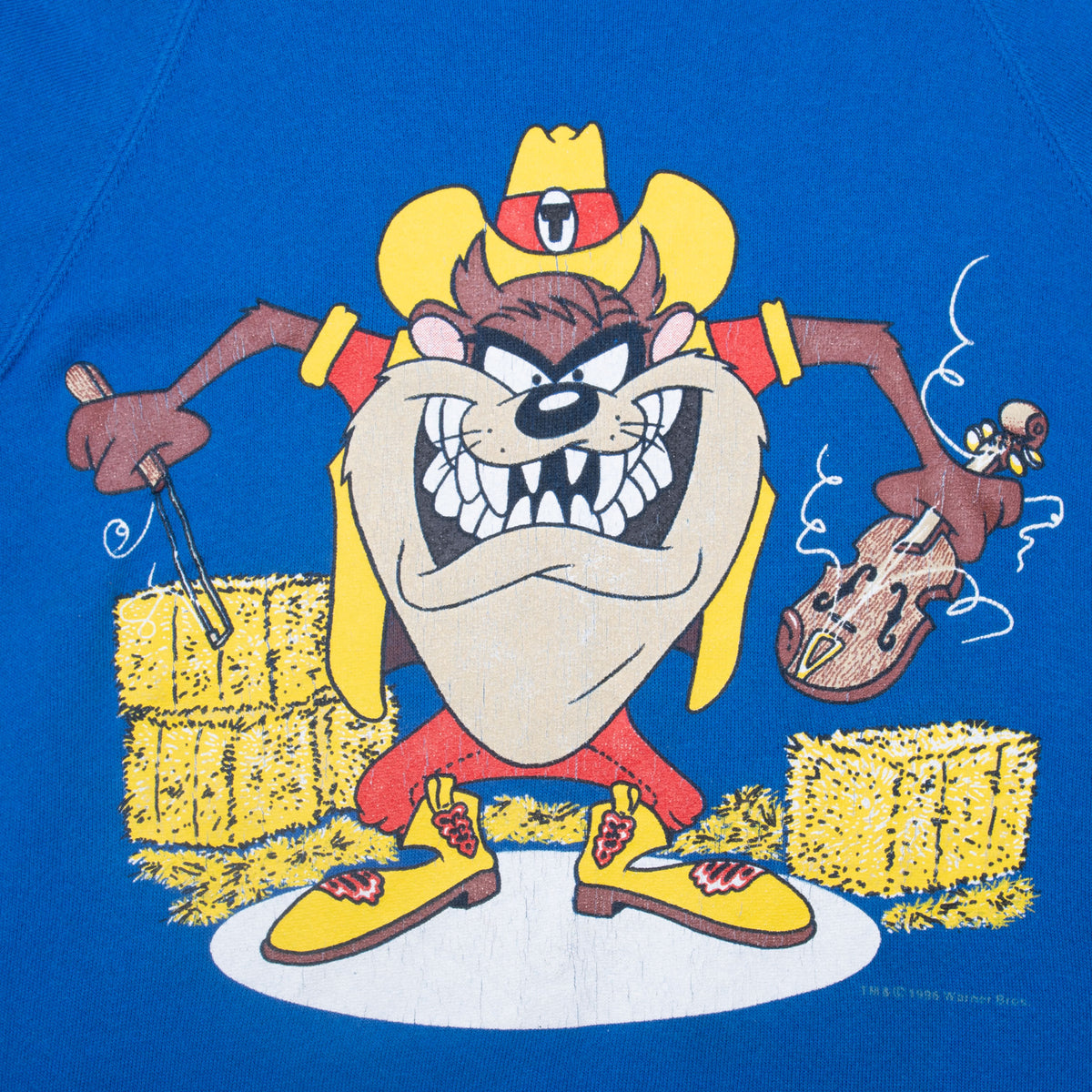 Close-up of Taz dressed as a cowboy with hay bales and a violin