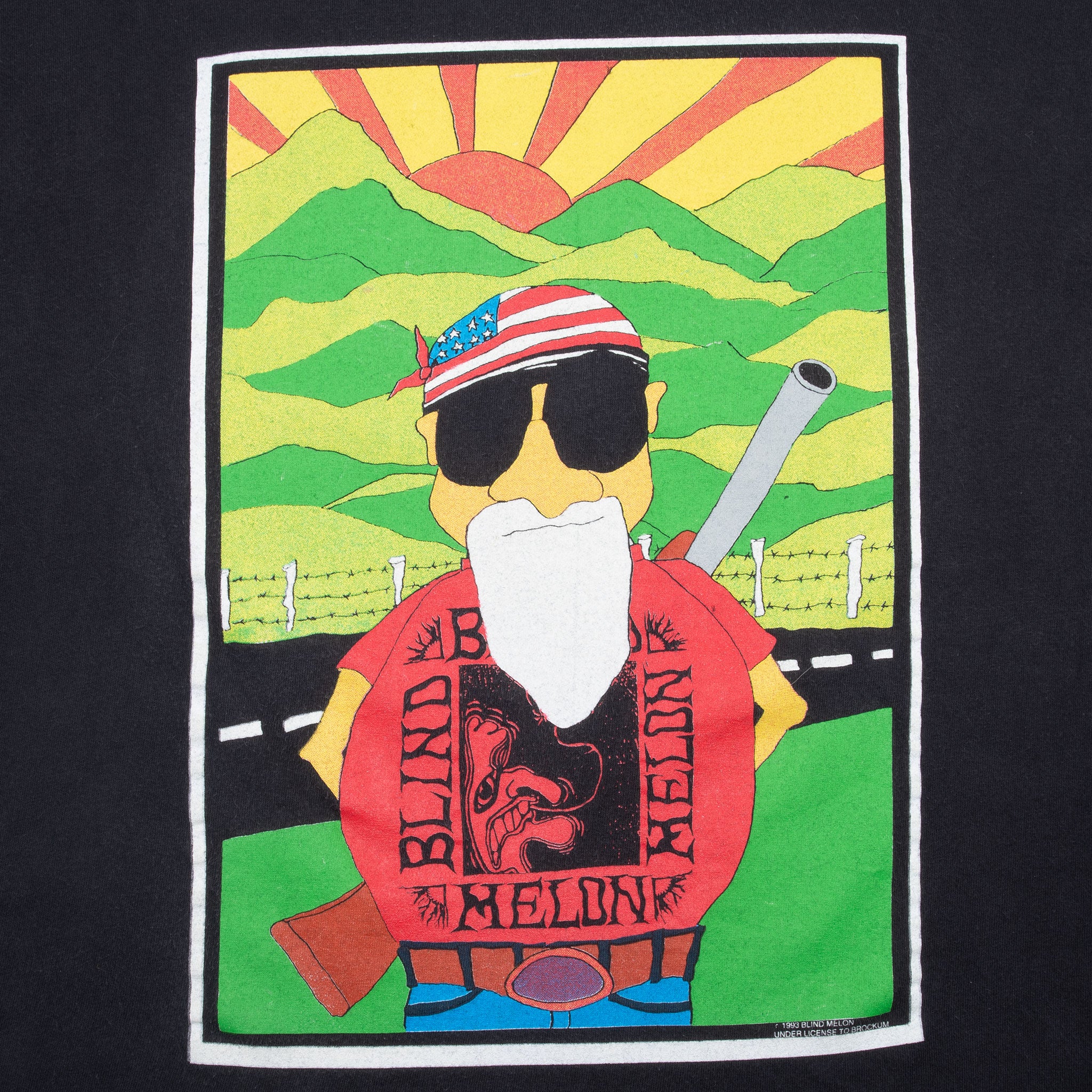 Vintage Blind Melon 1993 Concert Tee Shirt Size XL With Single Stitch Sleeves