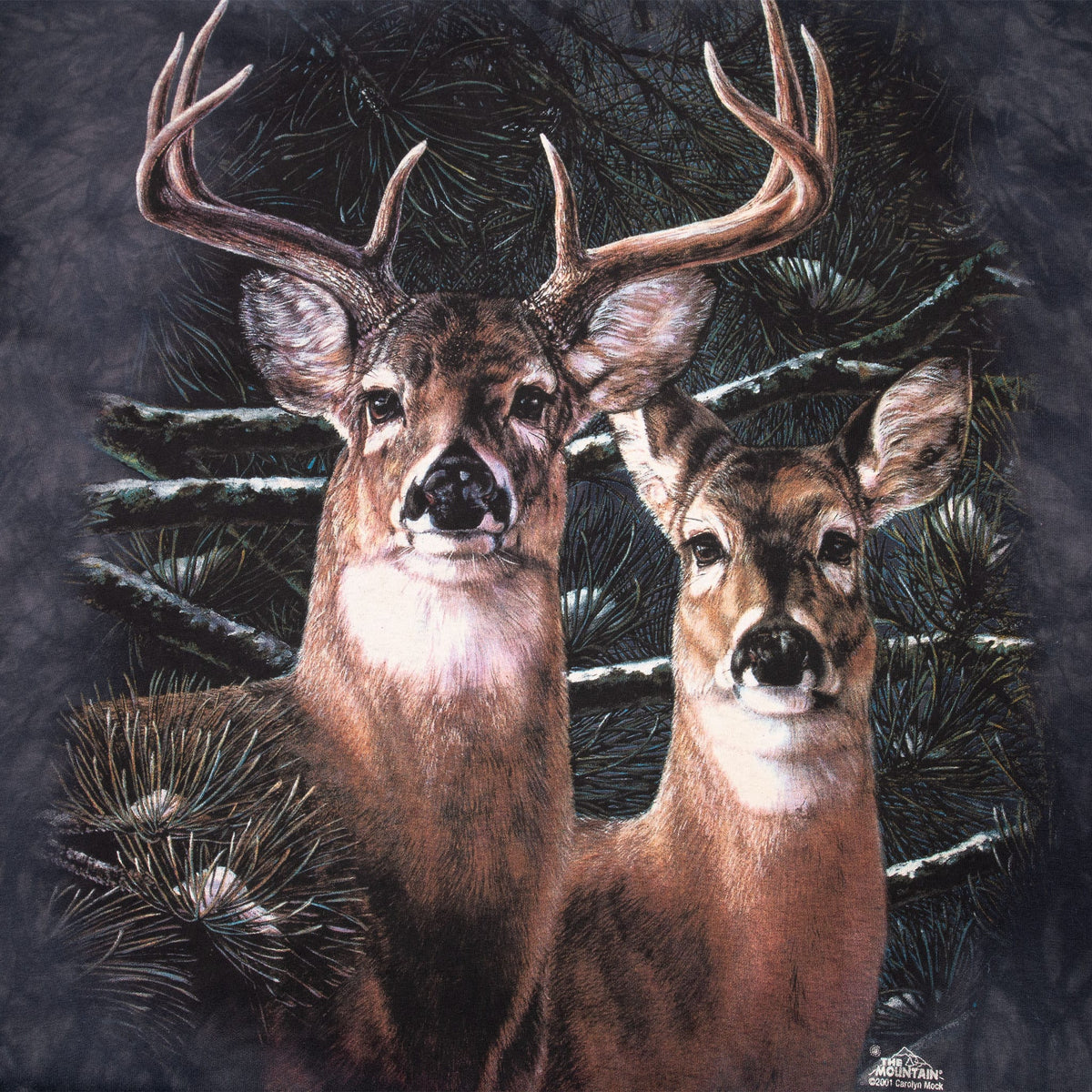 Close-up of buck and doe graphic among evergreen branches