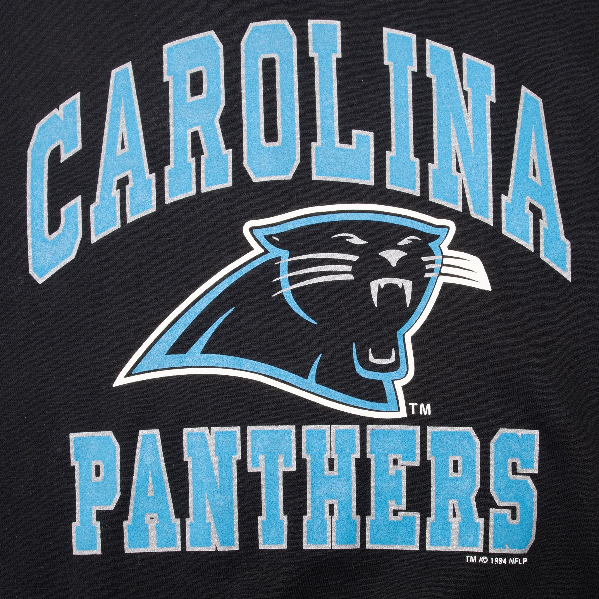Close-up of blue and gray Carolina Panthers name and panther logo print
