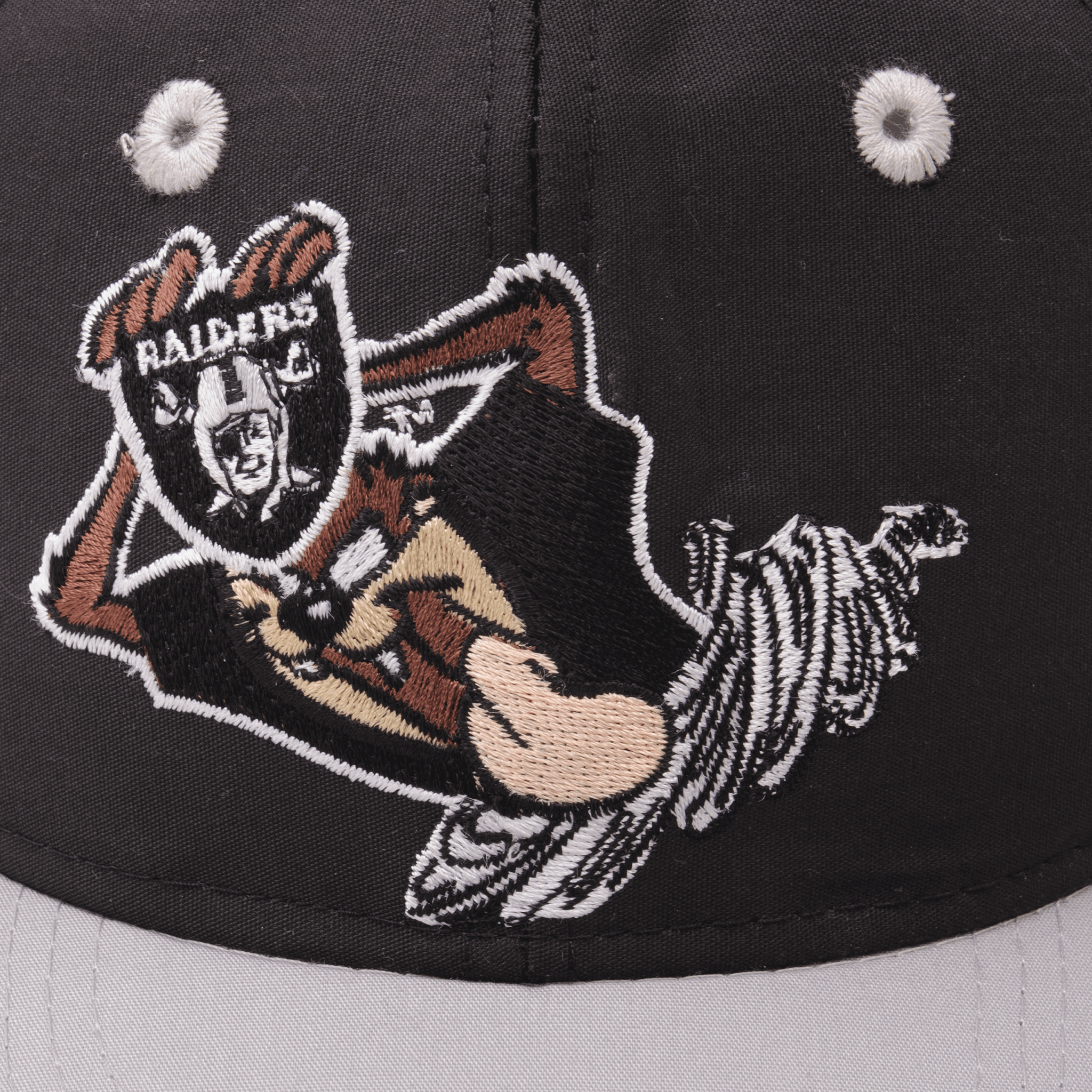 Vintage NFL Los Angeles Raiders Taz Looney Tunes Cap 1993