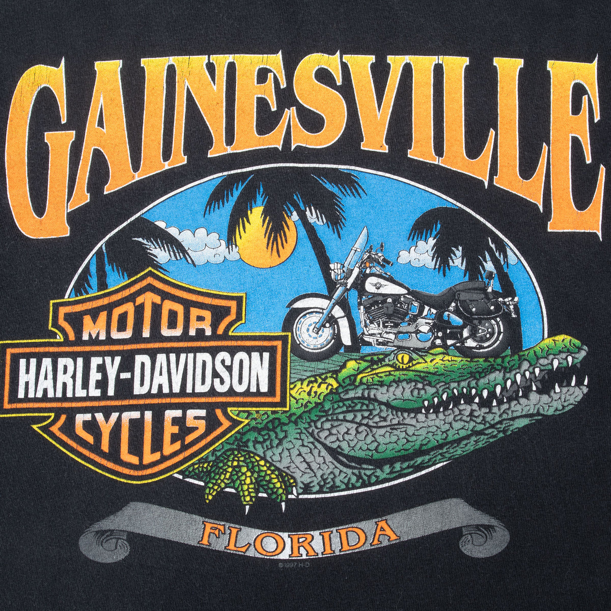 Close-up of Gainesville Florida Harley-Davidson back graphic with motorcycle and alligator
