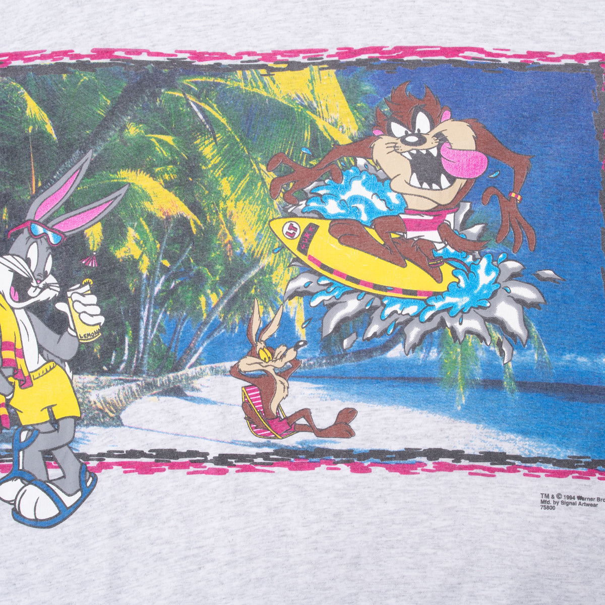 Close-up of Looney Tunes print featuring Bugs Bunny and Taz surfing