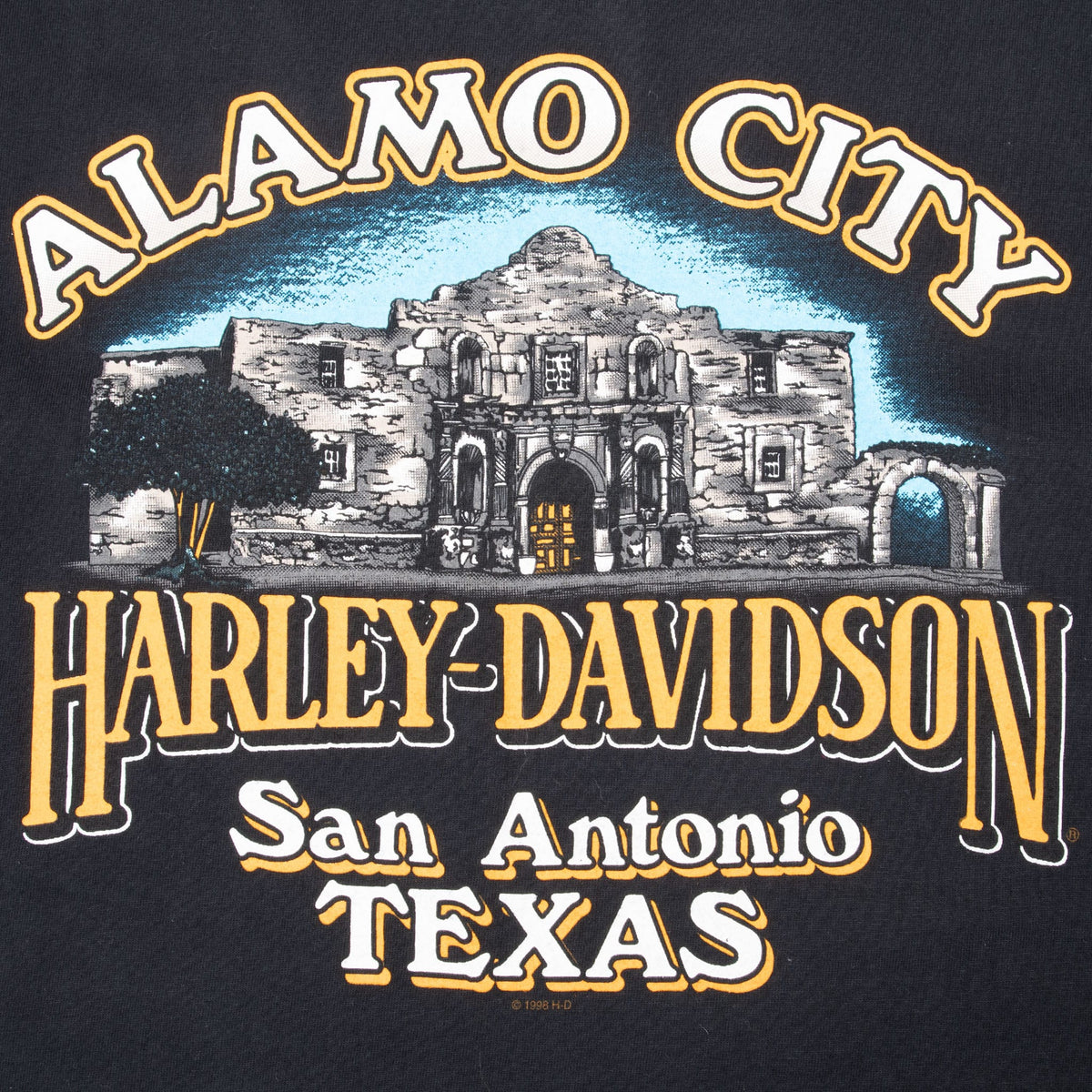 Close-up of Alamo City Harley-Davidson San Antonio Texas back graphic
