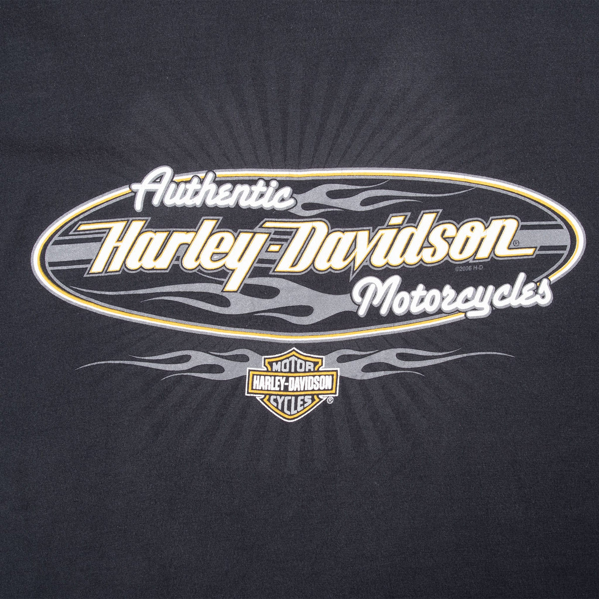 Close-up of front Harley-Davidson oval graphic with flames and Bar & Shield logo