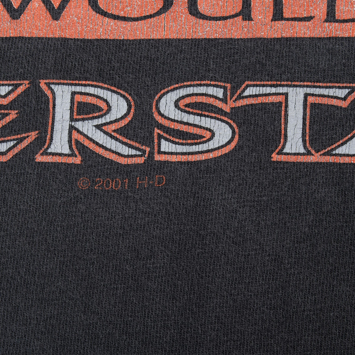 Close-up of front graphic showing 2001 Harley-Davidson copyright mark
