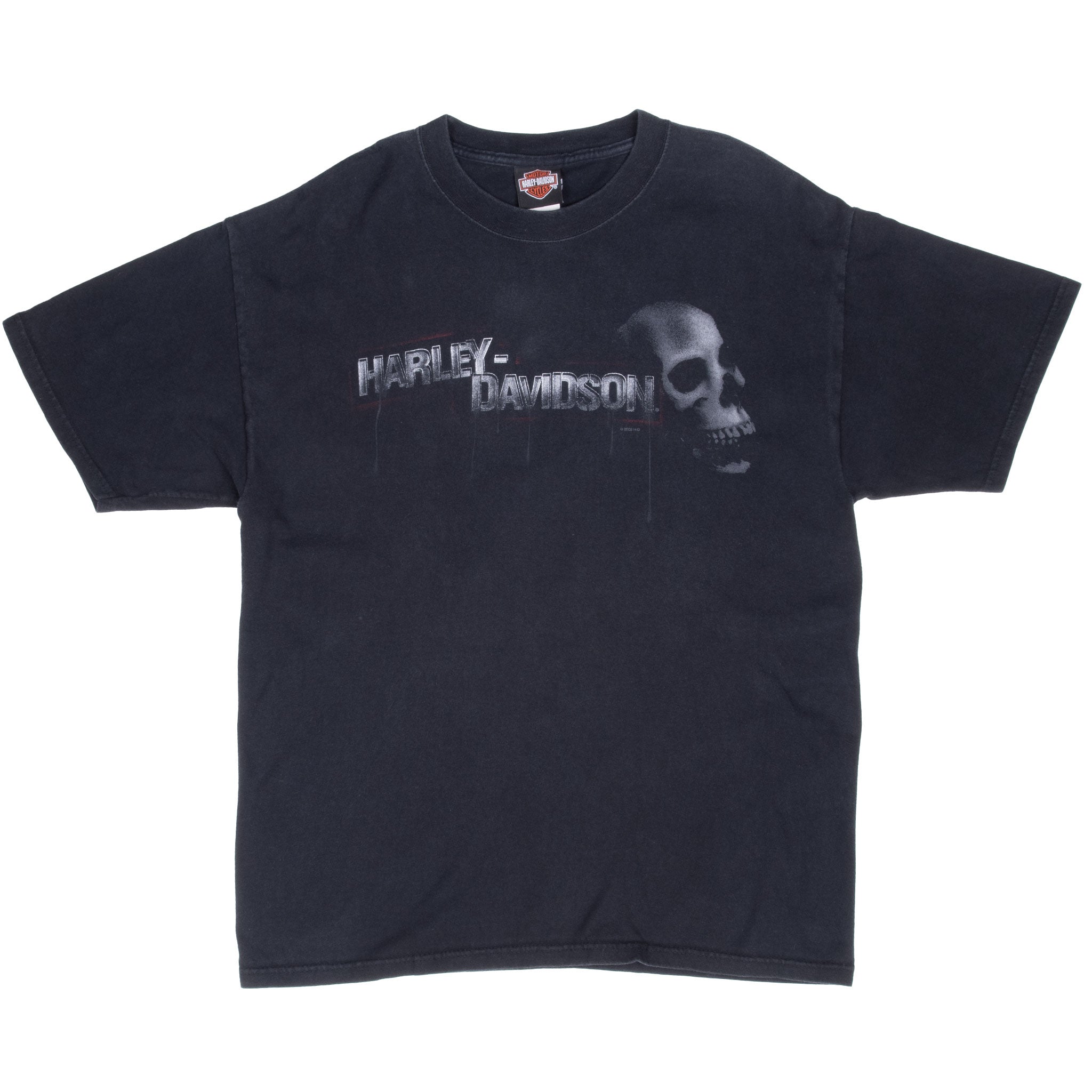 Full front view of black Harley-Davidson T-shirt with silver skull graphic