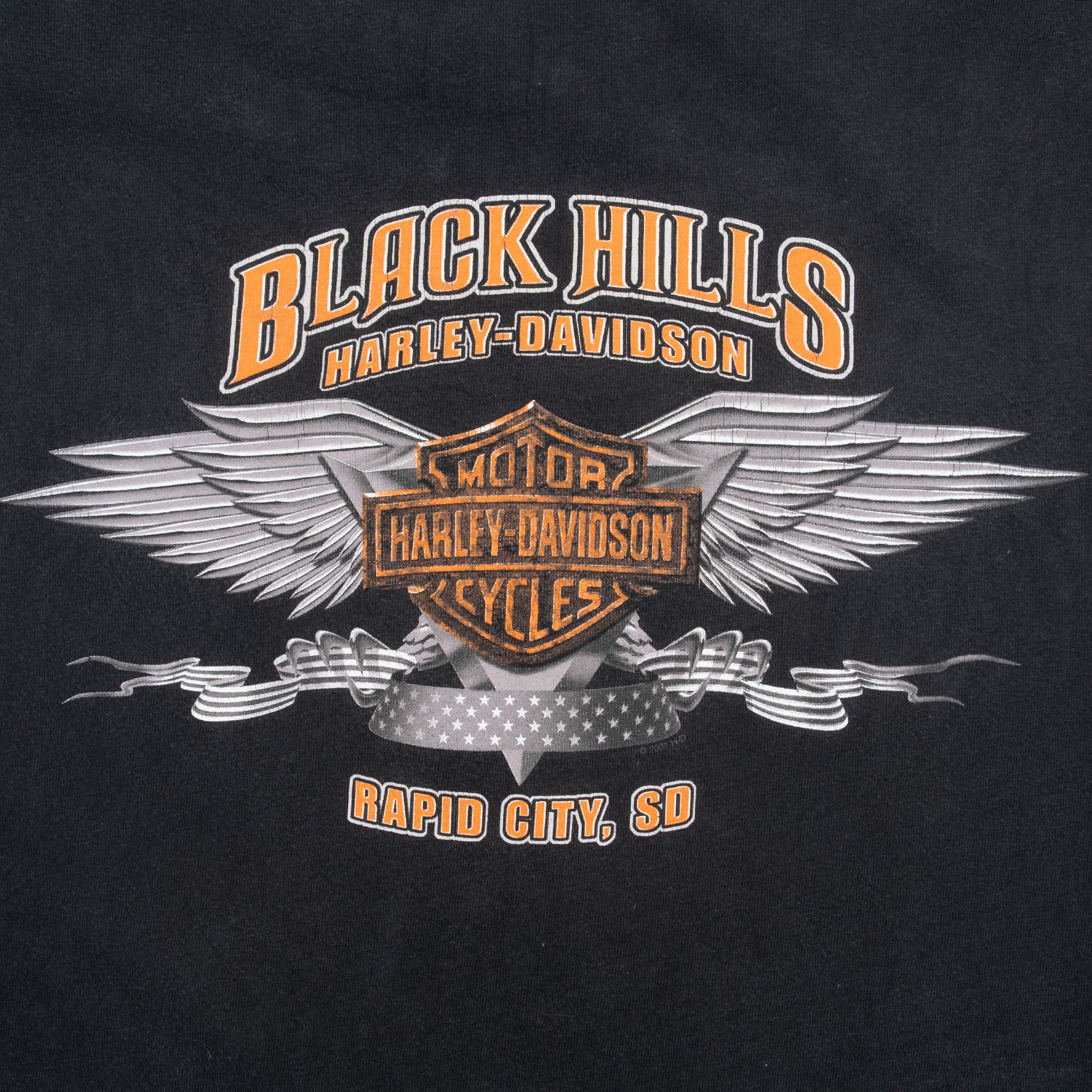 Vintage Harley Davidson Rapid City South Dakota 2000 Tee Shirt Size Large Made In Usa