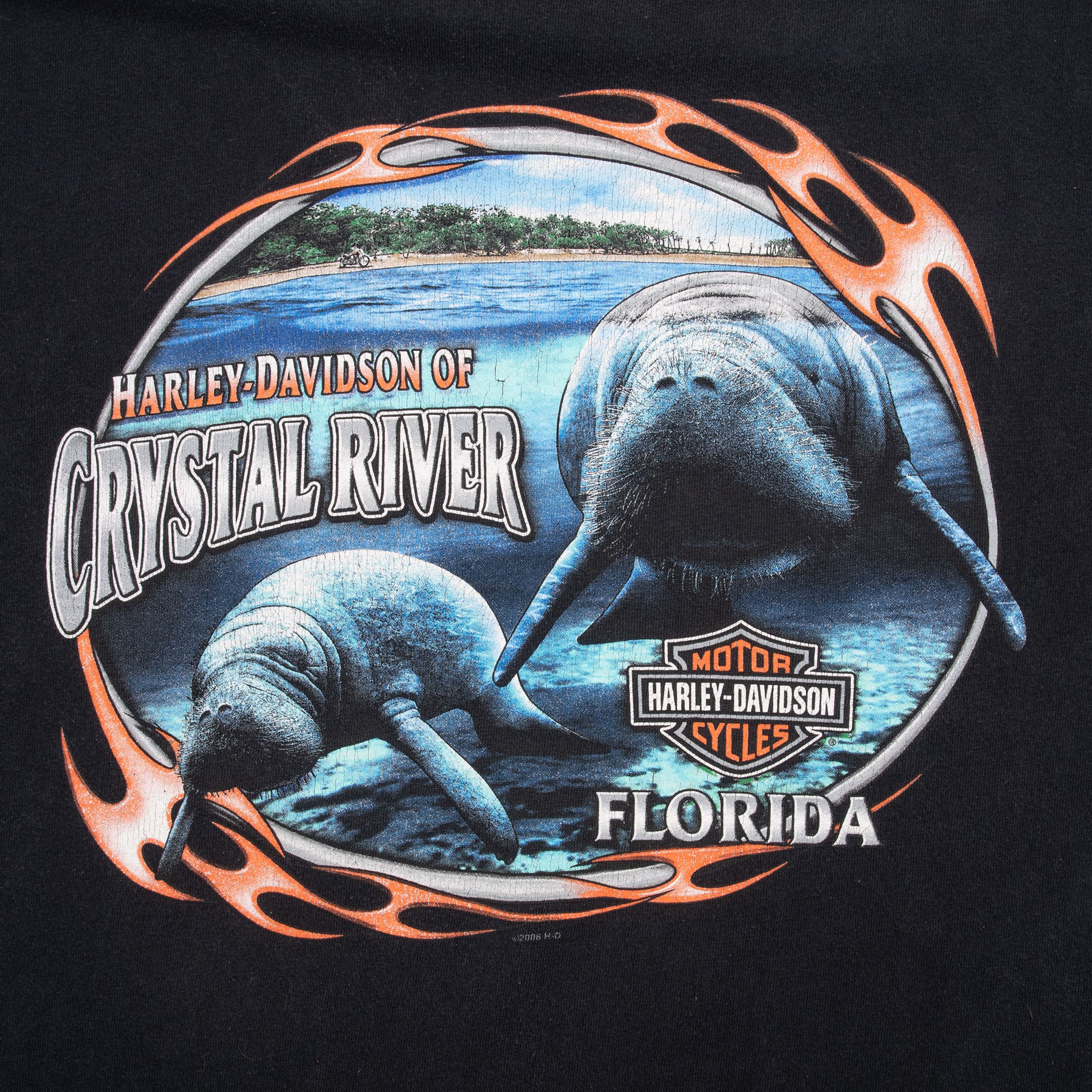 Vintage Harley Davidson Crystal River Florida 2008 Tee Shirt Size Medium Made In Usa