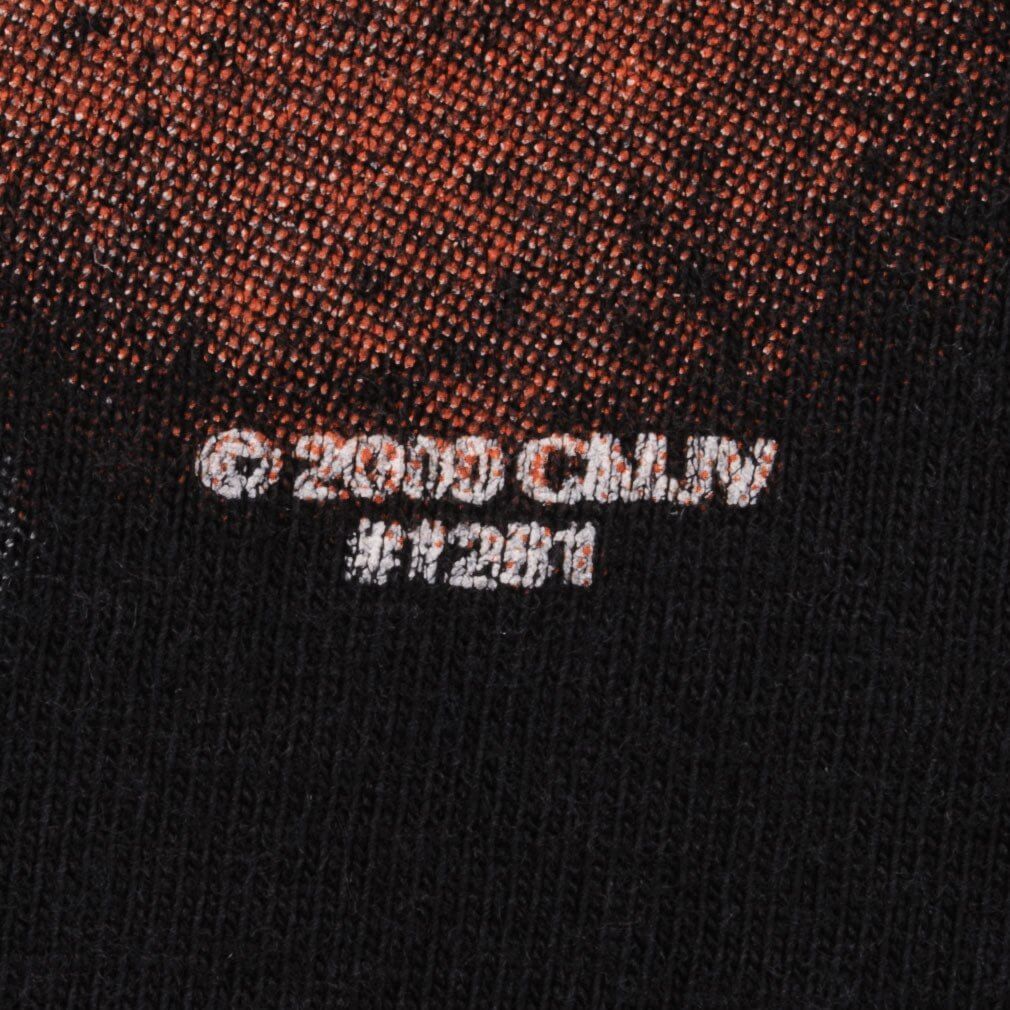 Vintage Hawgs and Stripes Pig California Cycle Biker Tee Shirt 2000 Size XL