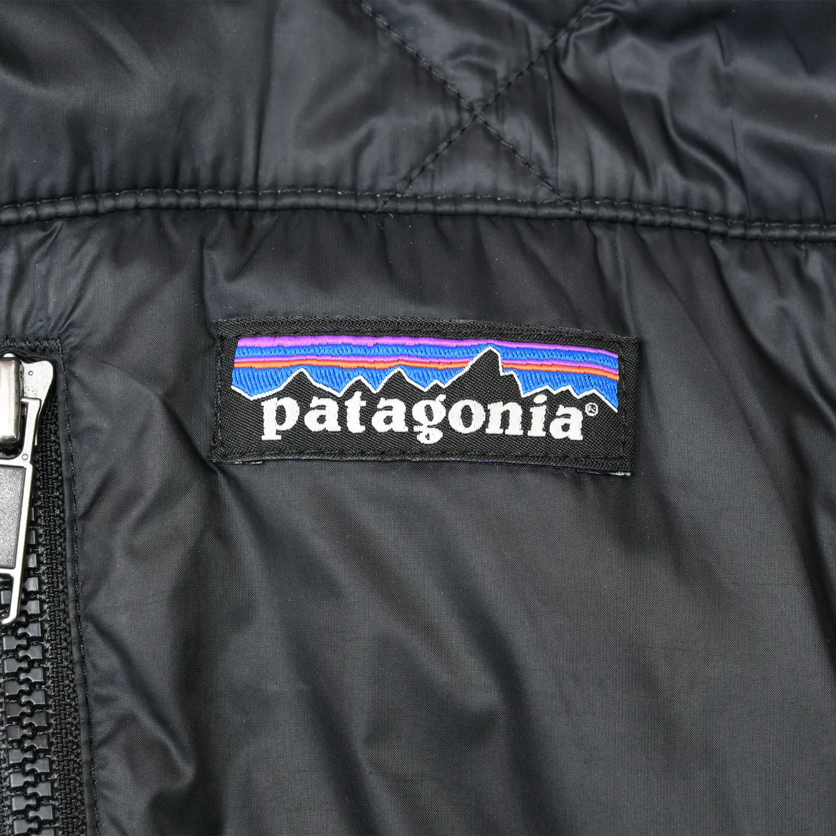 Patagonia logo label inside black Radalie parka