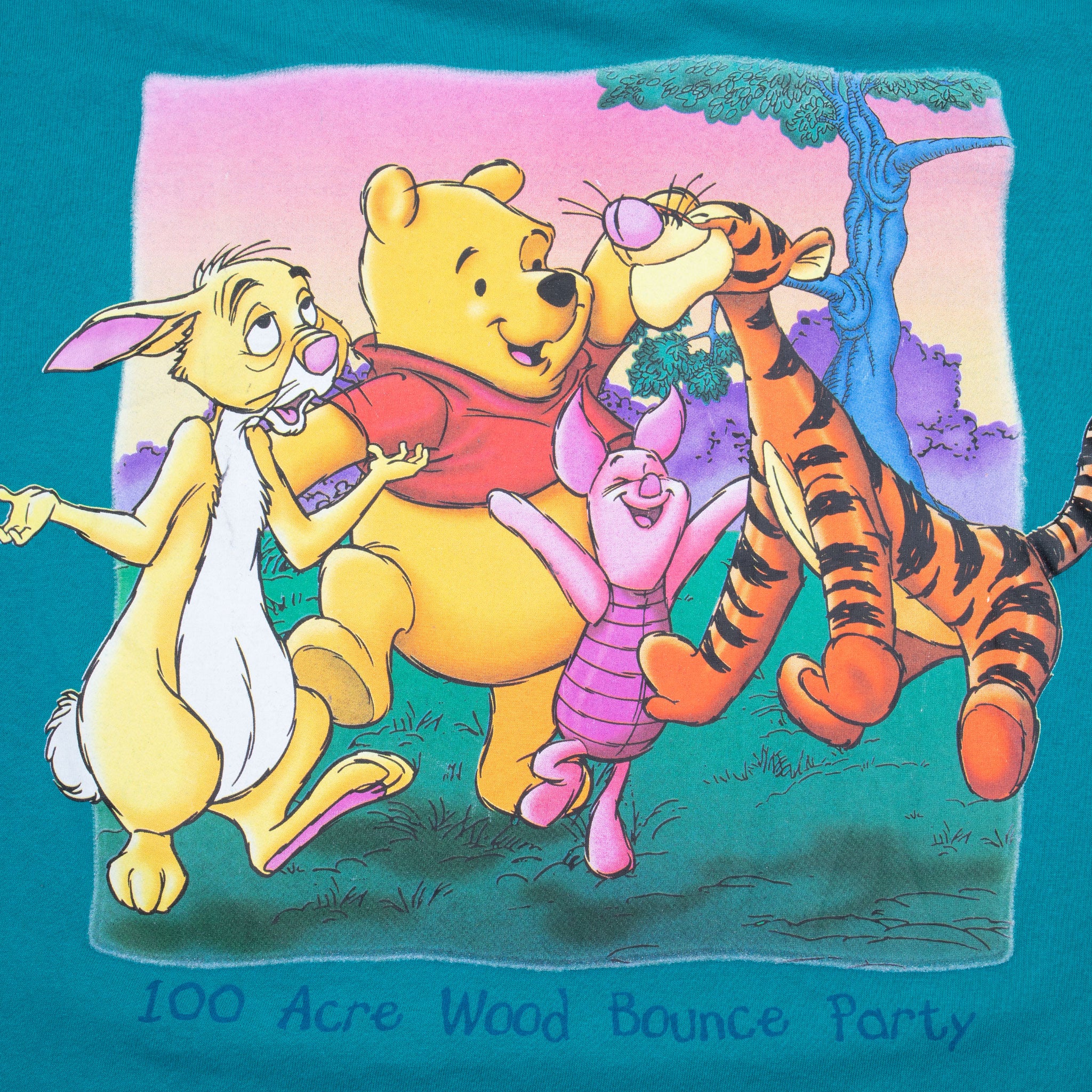 Cartoon characters from '100 Acre Wood' on a blue background