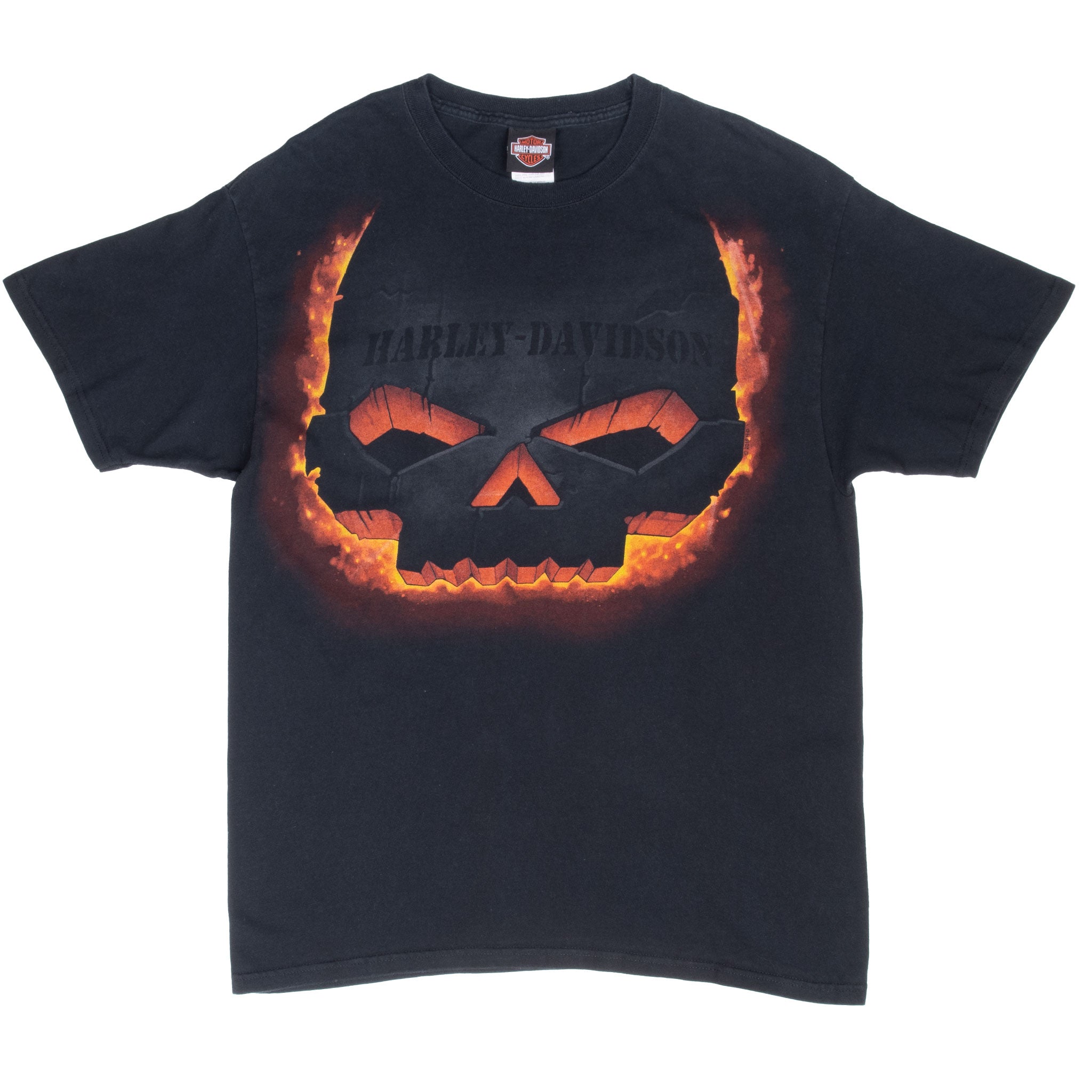 Vintage Harley Davidson El Paso Texas Tee Shirt 2010 Size Large