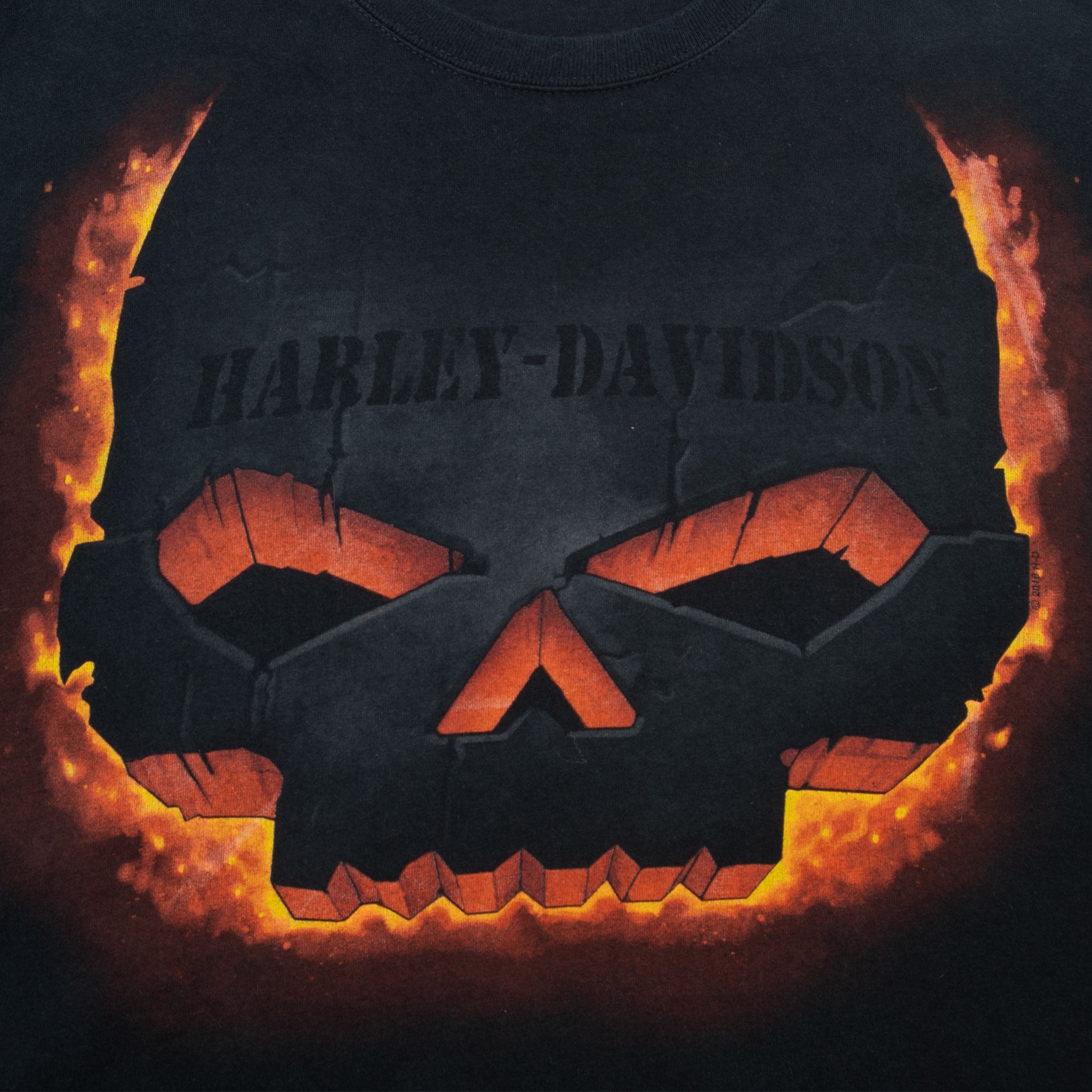 Vintage Harley Davidson El Paso Texas Tee Shirt 2010 Size Large