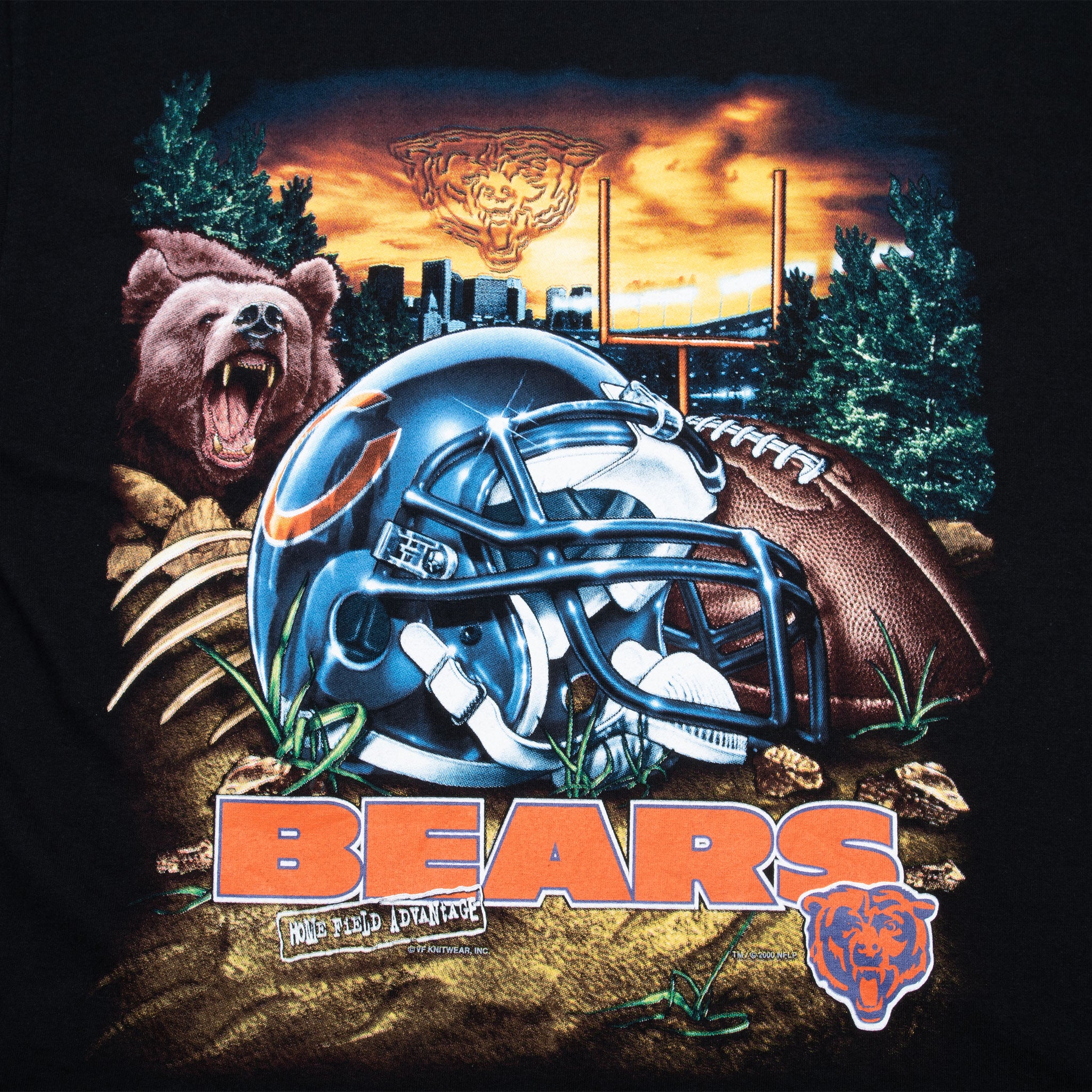 Vintage Nfl Chicago Bears 2000 Tee Shirt Size Large