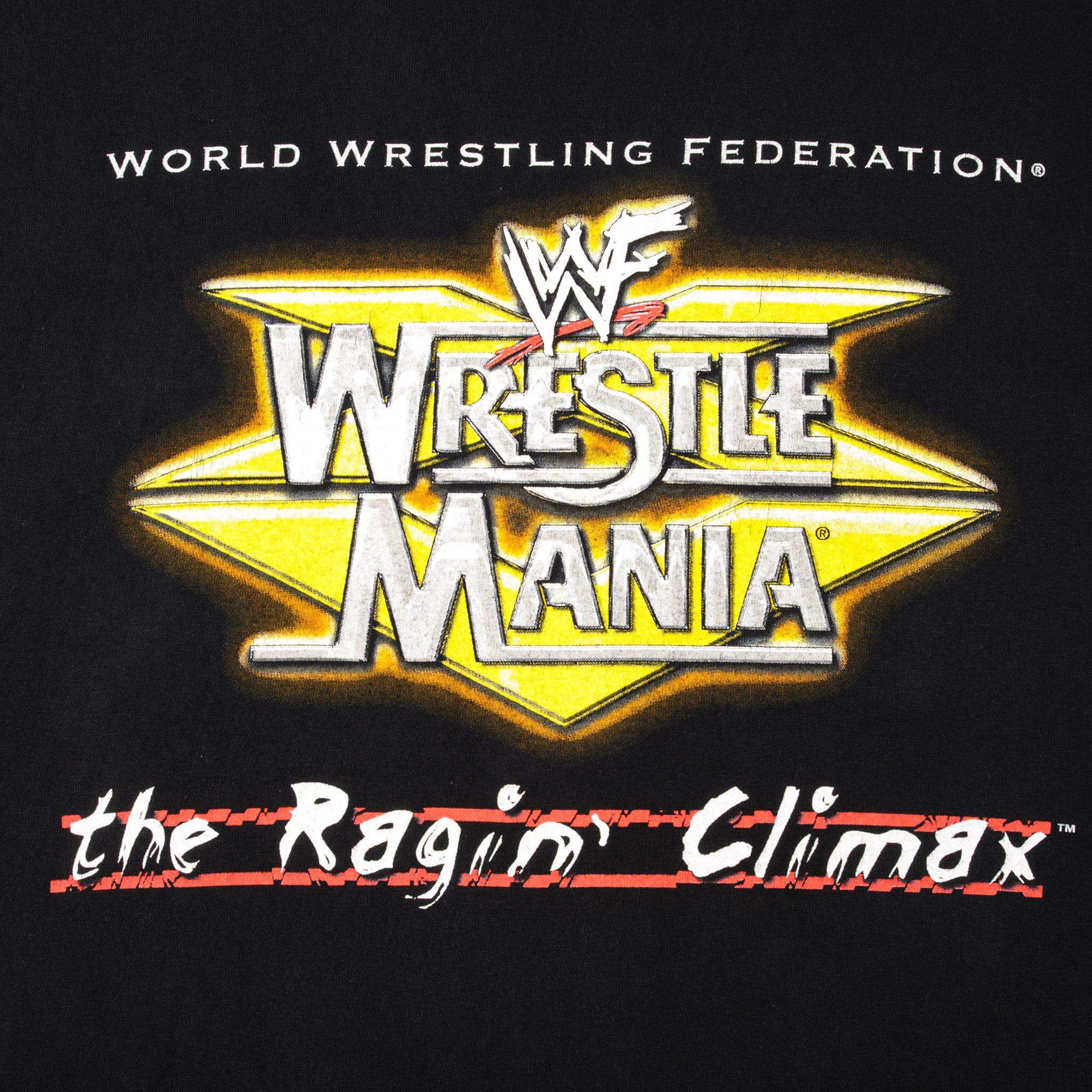 VINTAGE WWF WRESTLE MANIA TEE SHIRT 1999 SIZE XL