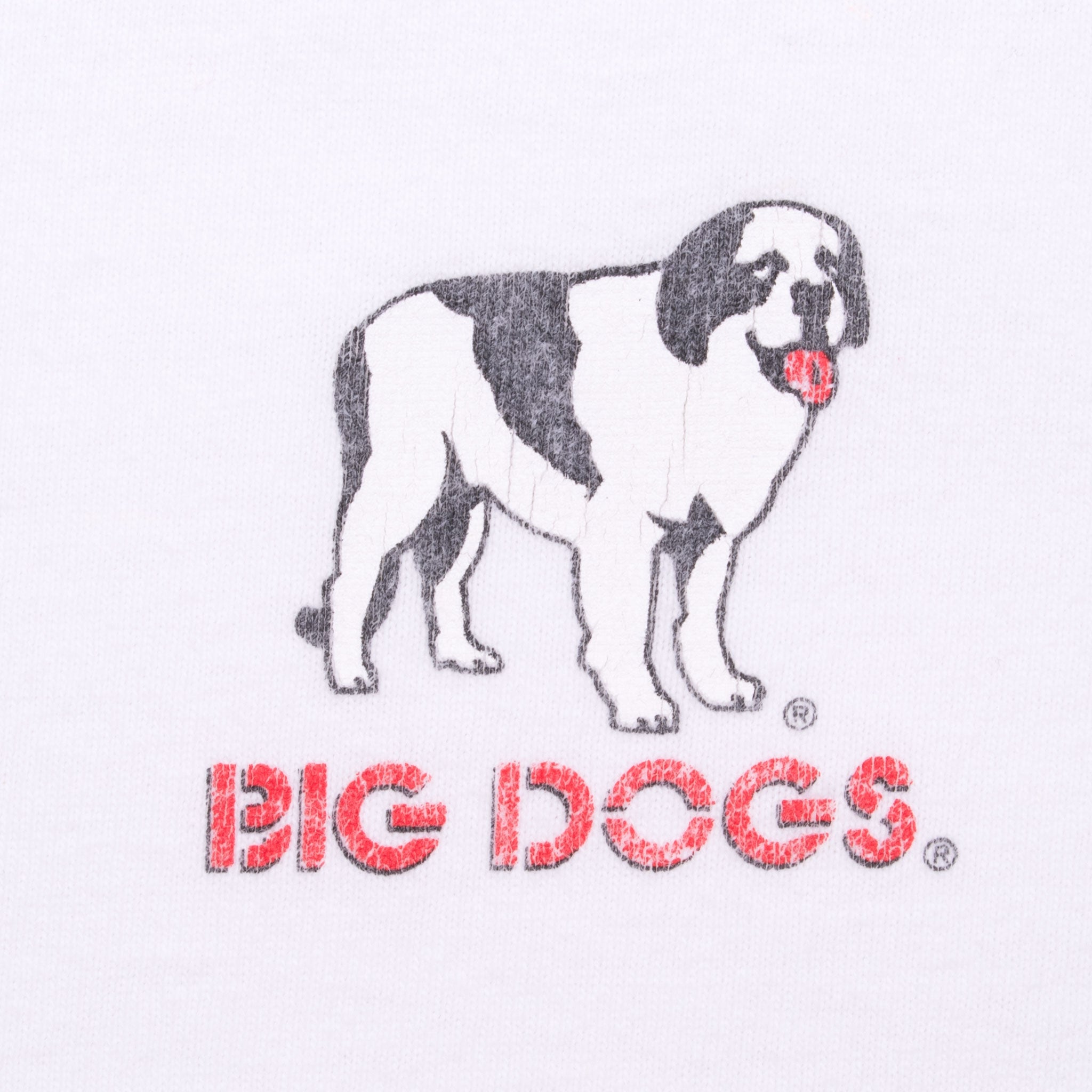 Vintage Big Dogs Hairy Pawter 2007 Tee Shirt Size XL
