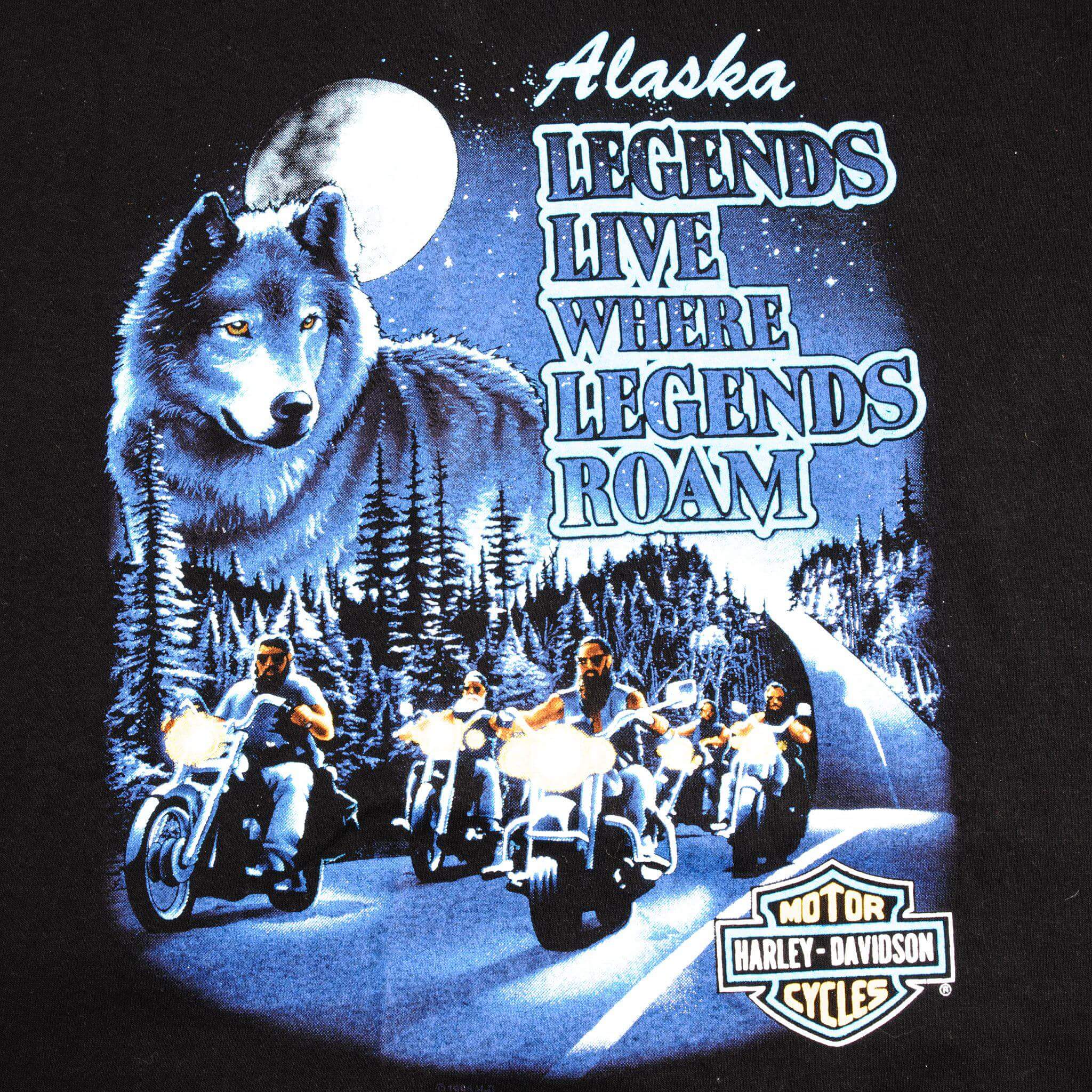 VINTAGE HARLEY DAVIDSON TEE SHIRT BY HOLOUBEK 1995 SIZE XL MADE IN USA