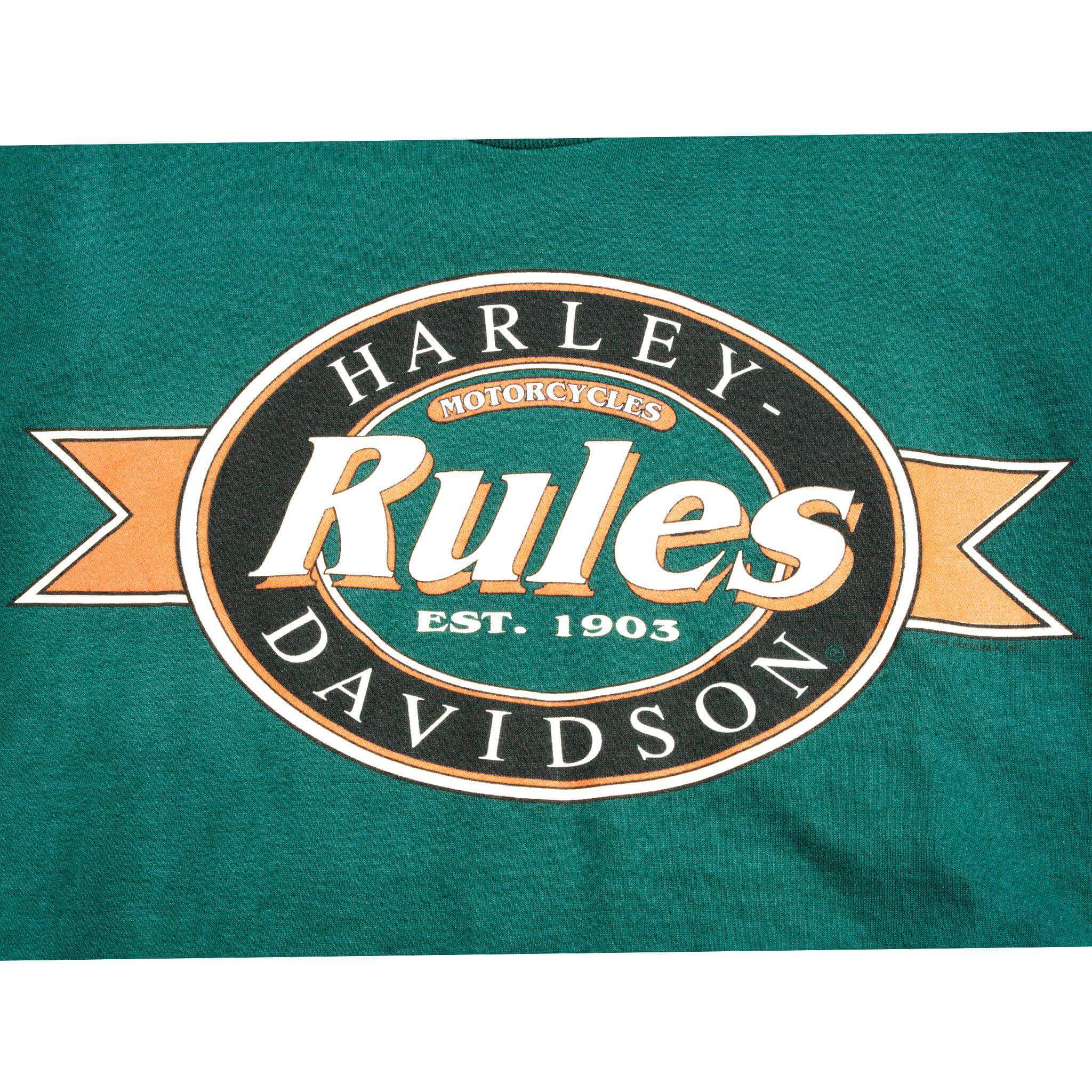 VINTAGE HARLEY DAVIDSON TEE SHIRT BY HOLOUBEK 1991 SIZE L MADE IN USA