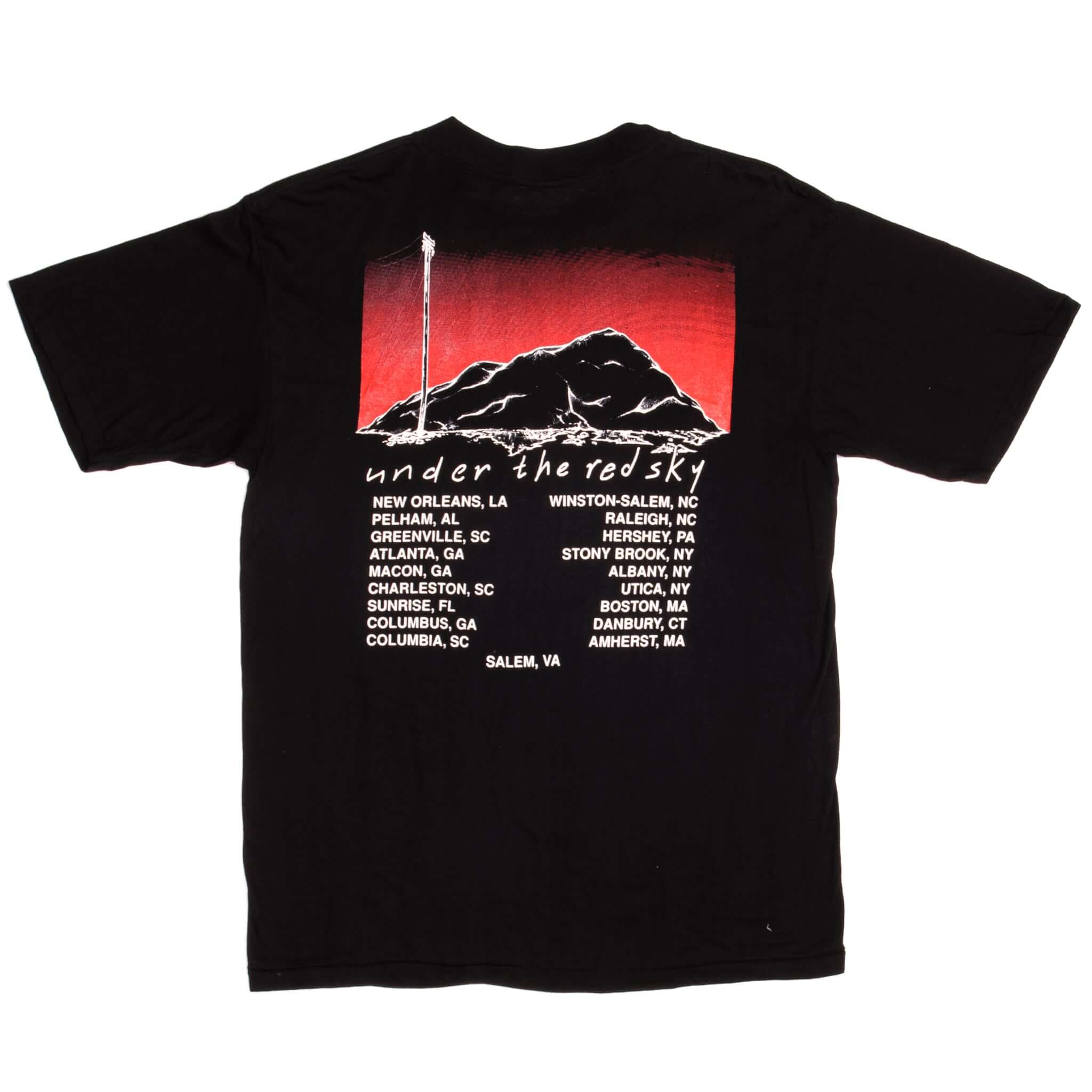 Vintage Bob Dylan Under The Red Sky Tour The Brockum Collection Tee Shirt 1990 Size Large Made In USA With Single Stitch Sleeves.