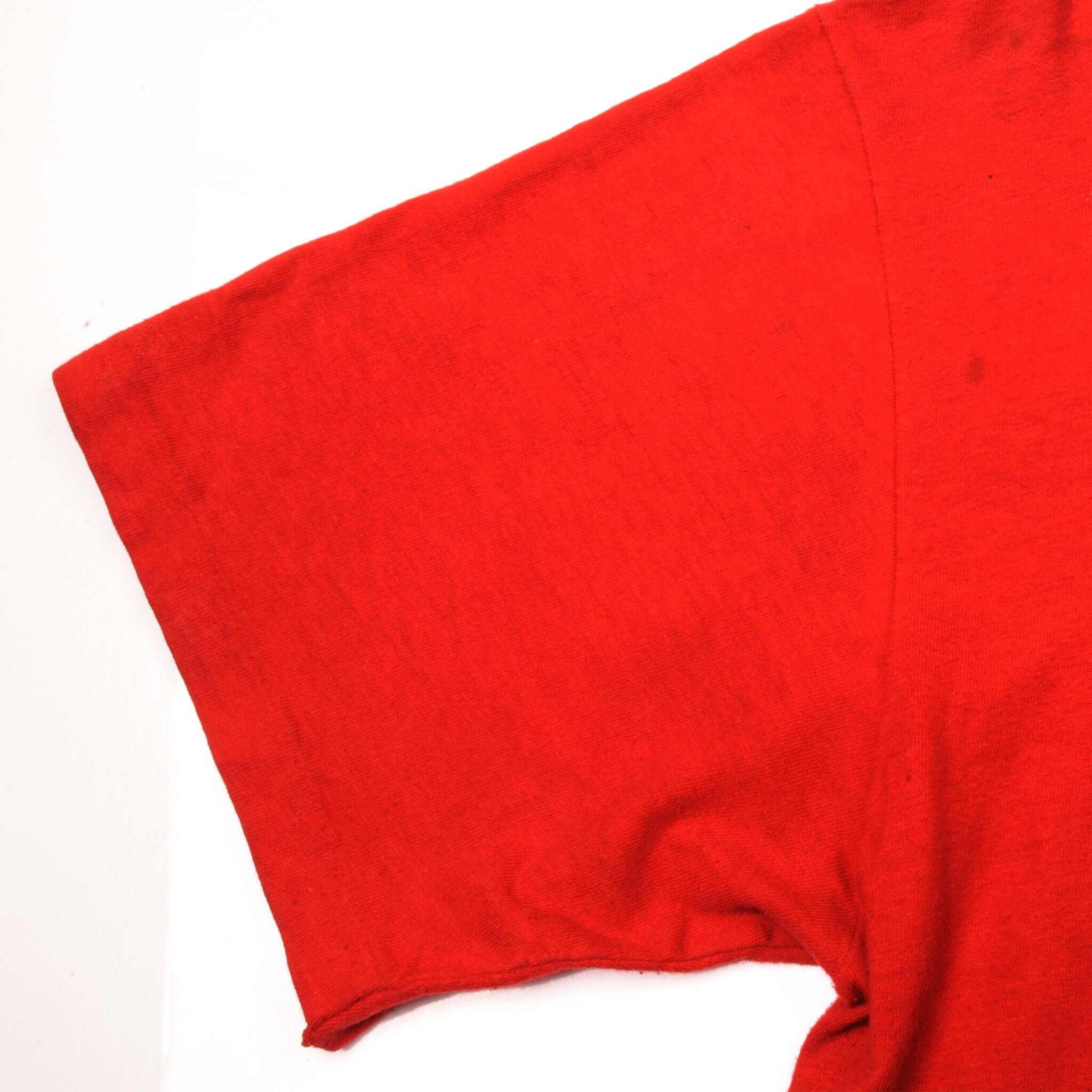 VINTAGE RAISIN HELL TEE SHIRT 1980s SIZE LARGE MADE IN USA