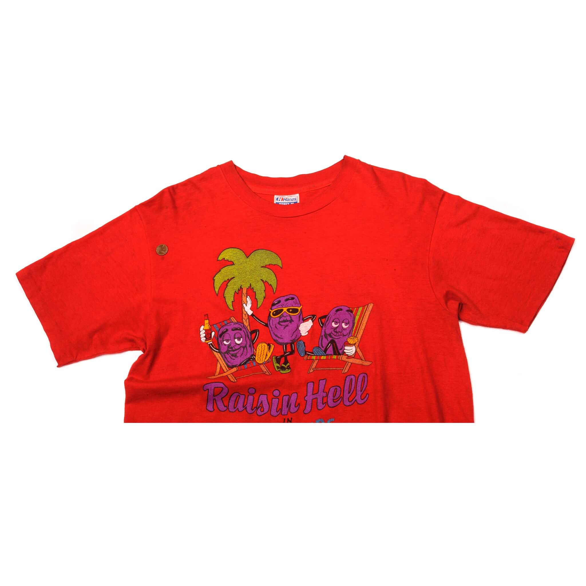 VINTAGE RAISIN HELL TEE SHIRT 1980s SIZE LARGE MADE IN USA