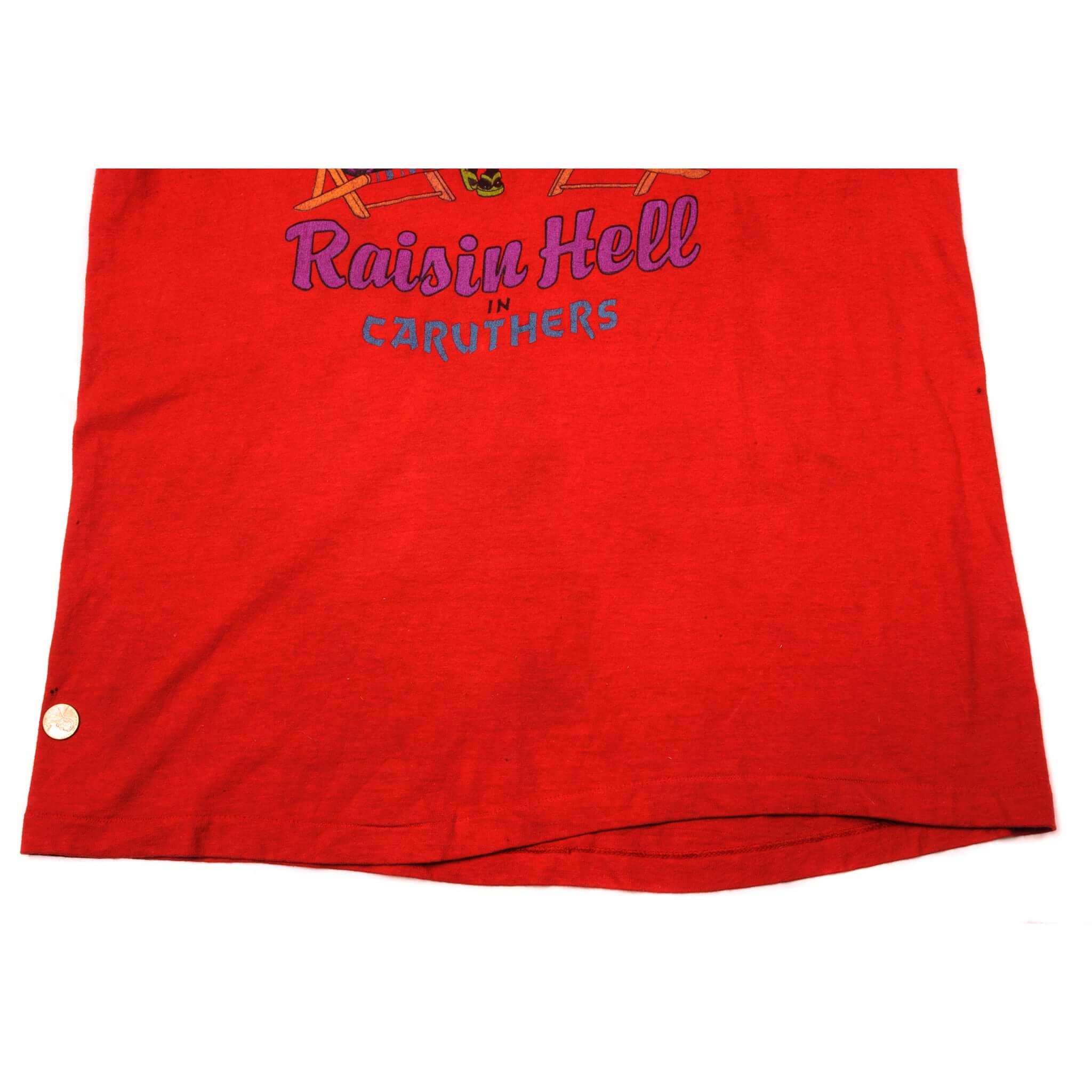 VINTAGE RAISIN HELL TEE SHIRT 1980s SIZE LARGE MADE IN USA