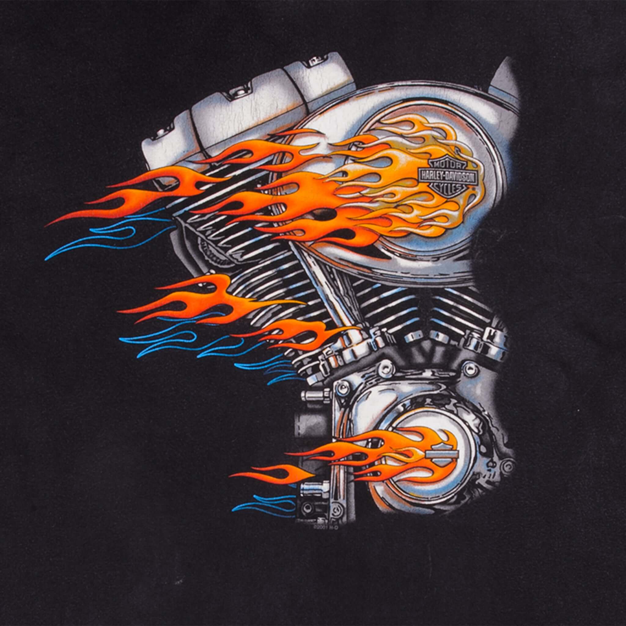 Vintage Harley Davidson San Diego, California Long Sleeves Tee Shirt 2001 Size L Made In USA. Hanes Beefy T tag.