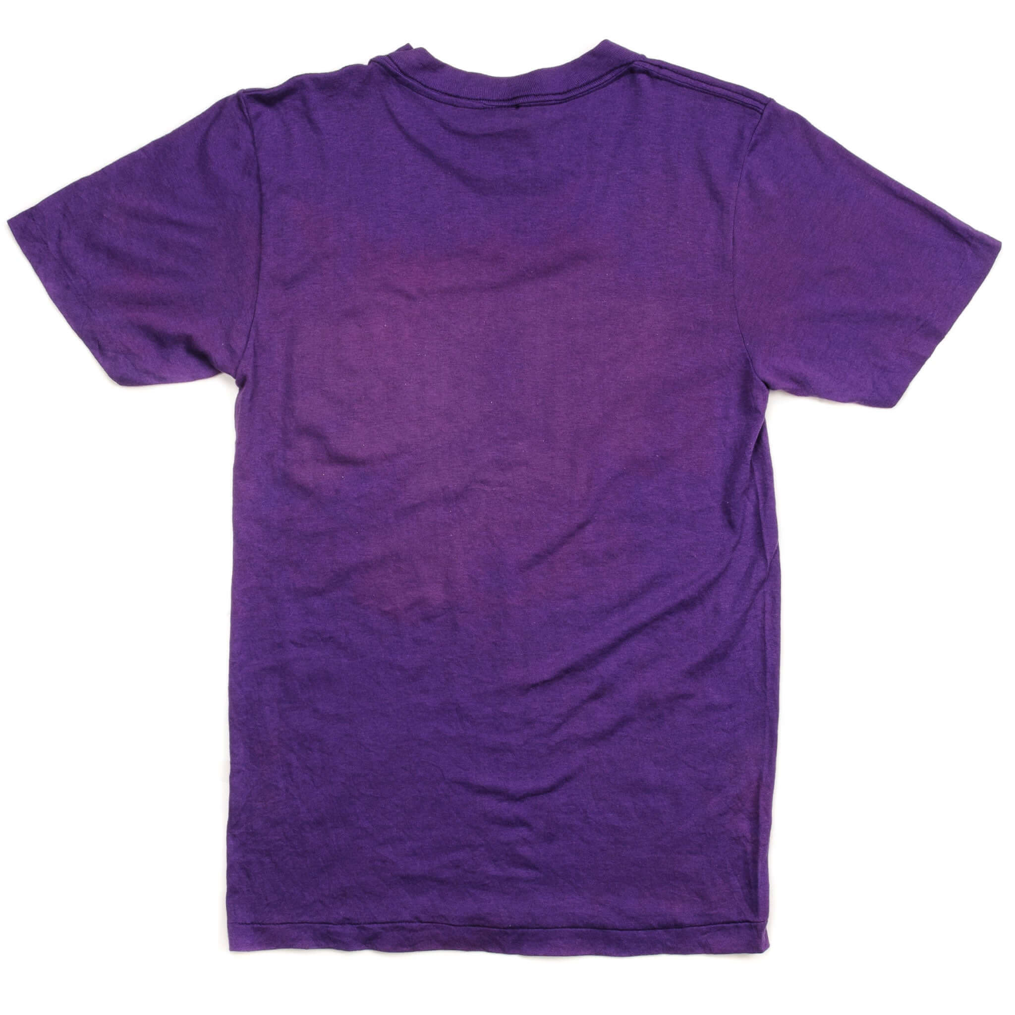 VINTAGE CHAMPION MINNESOTA VIKINGS TEE SHIRT EARLY 1980S XS MADE IN USA