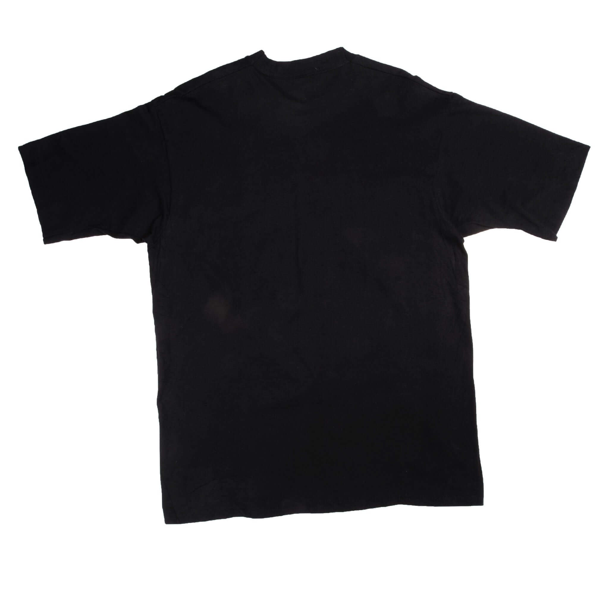 Vintage Dead Stock NBA Chicago Bulls 1996 Champions Tee Shirt Size Large. Made In USA With Single Stitch Sleeves