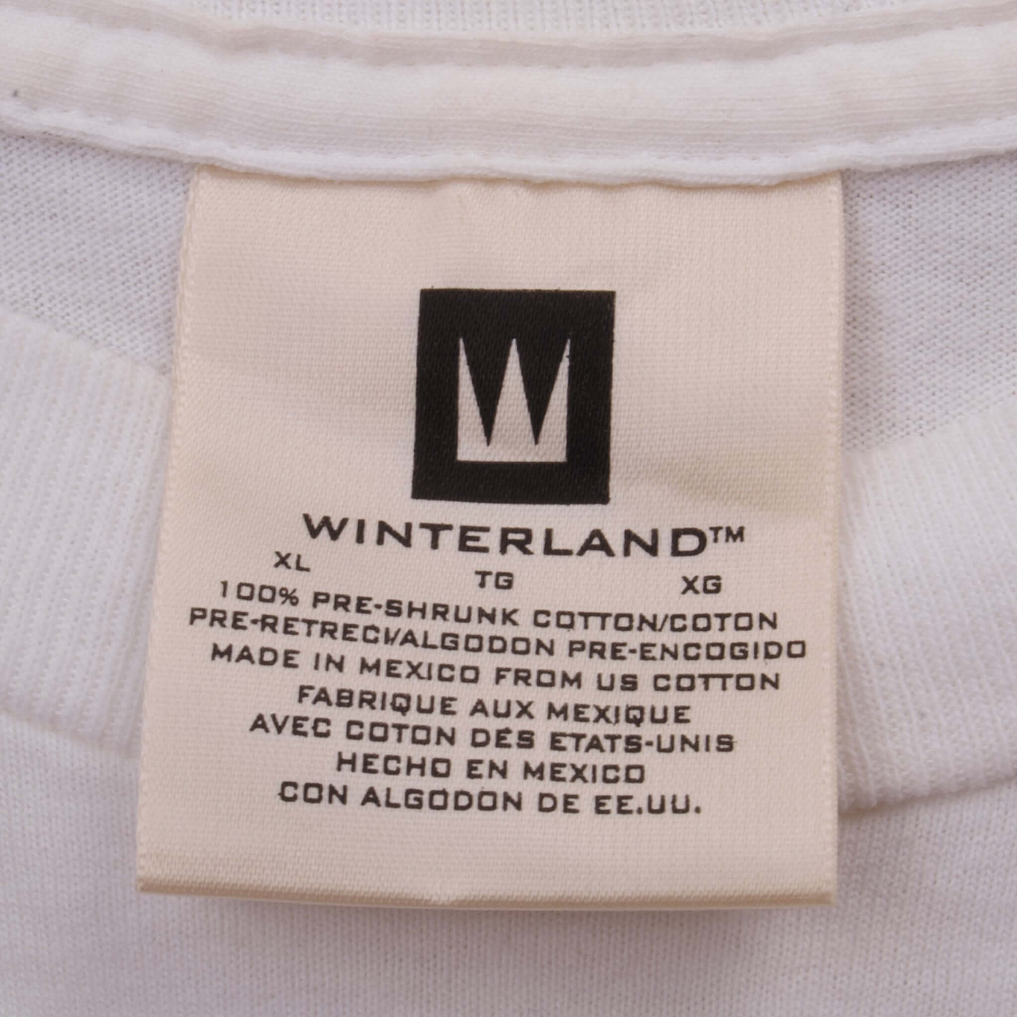 Vintage Back Street Boys With Nick Carter, Howie Dorough, AJ McLean, and cousins Brian Littrell and Kevin Richardson Millennium Tour Winterland Tee Shirt 1999 2000 Size XL