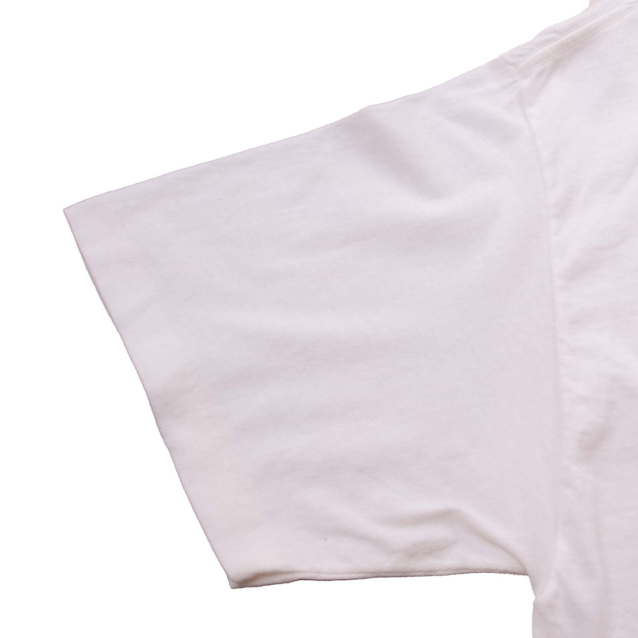 Vintage Beach Boys 30Th Anniversary Tee Shirt 1992 Size Large Made In USA With Single Stitch Sleeves