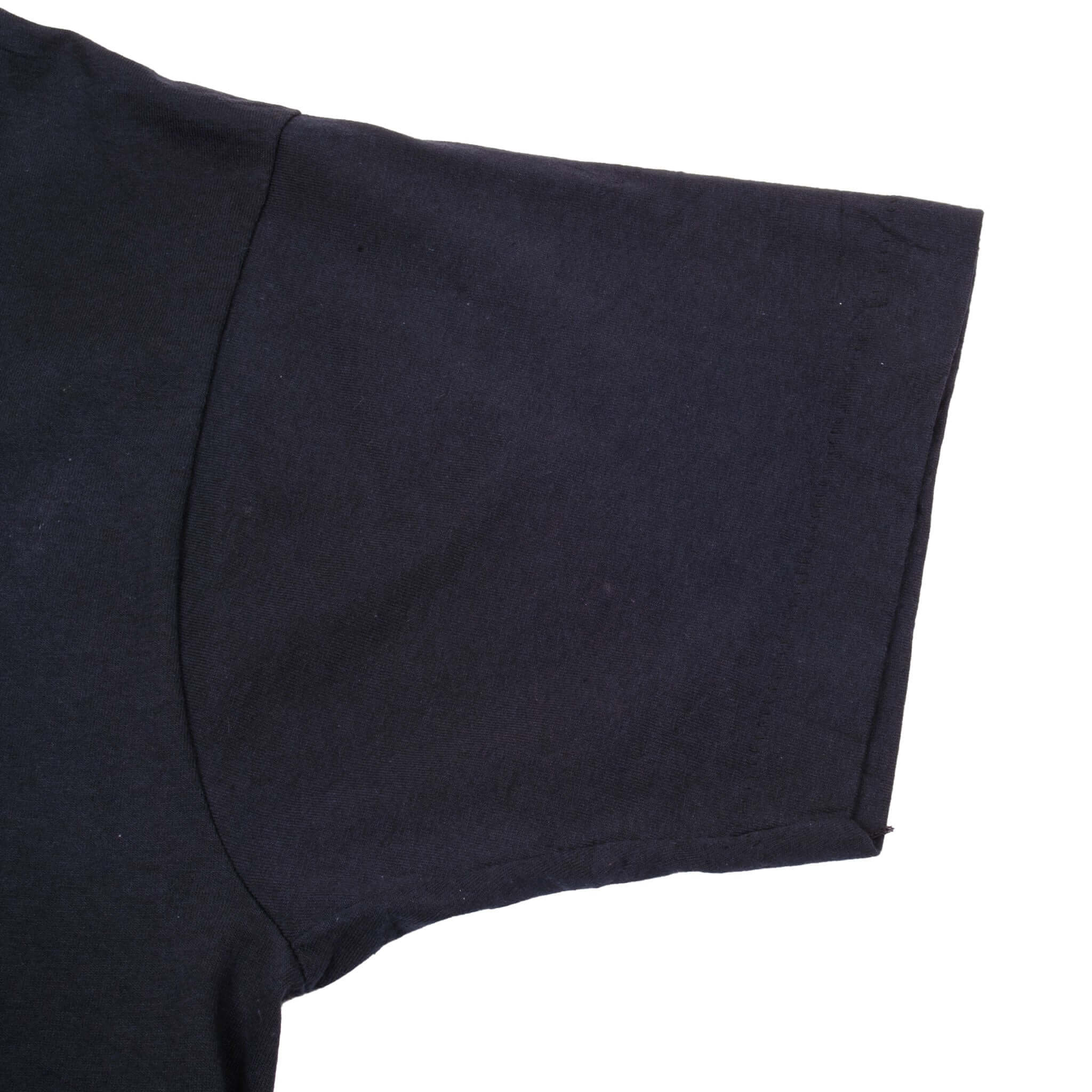 Vintage NBA Detroit Pistons World Champions 1990s Tee Shirt Size Large Made In USA With Single Stitch Sleeves