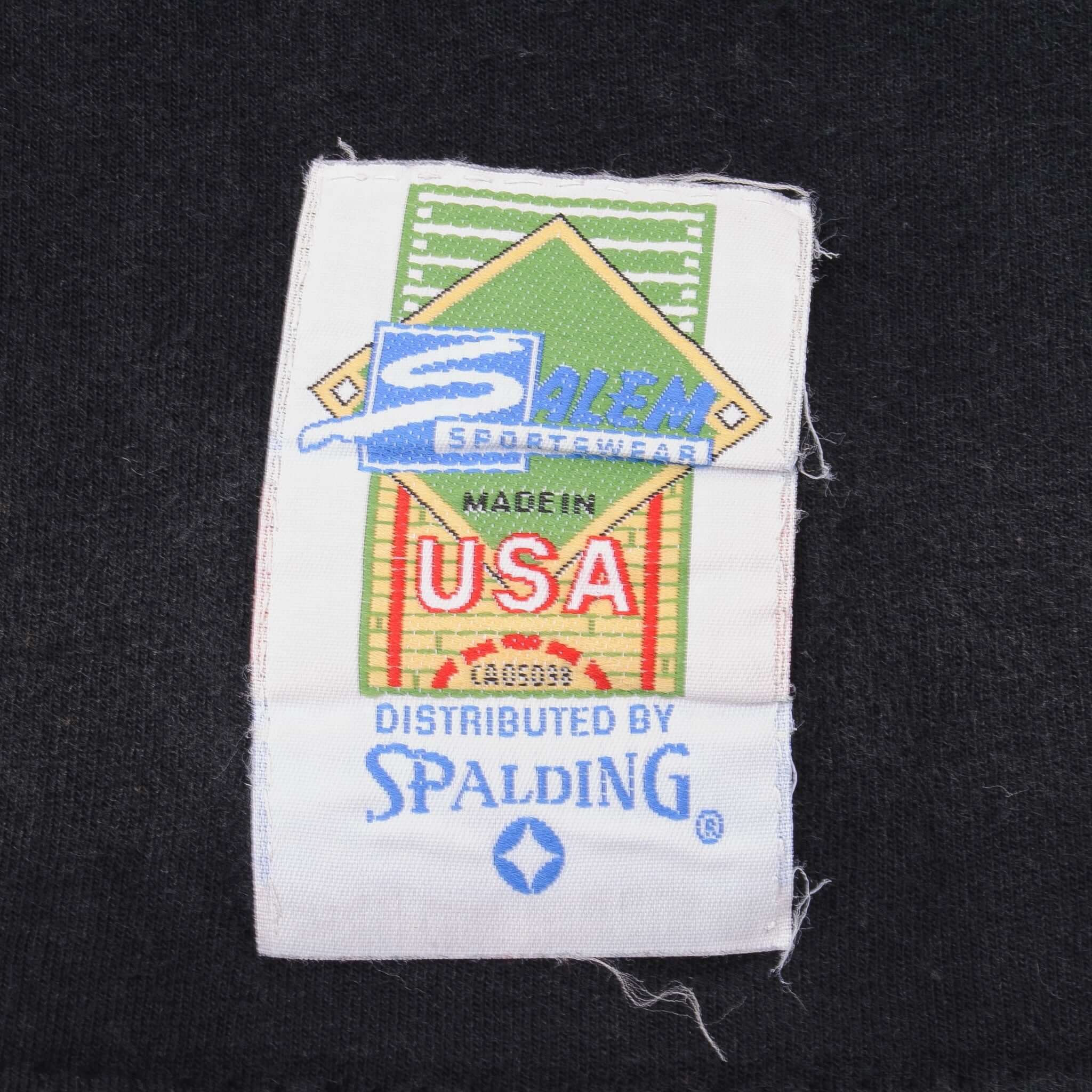 Vintage NBA All Over Print Charlotte Hornets Tee Shirt 1992 Size Large With Single Stitch Sleeves Made In USA