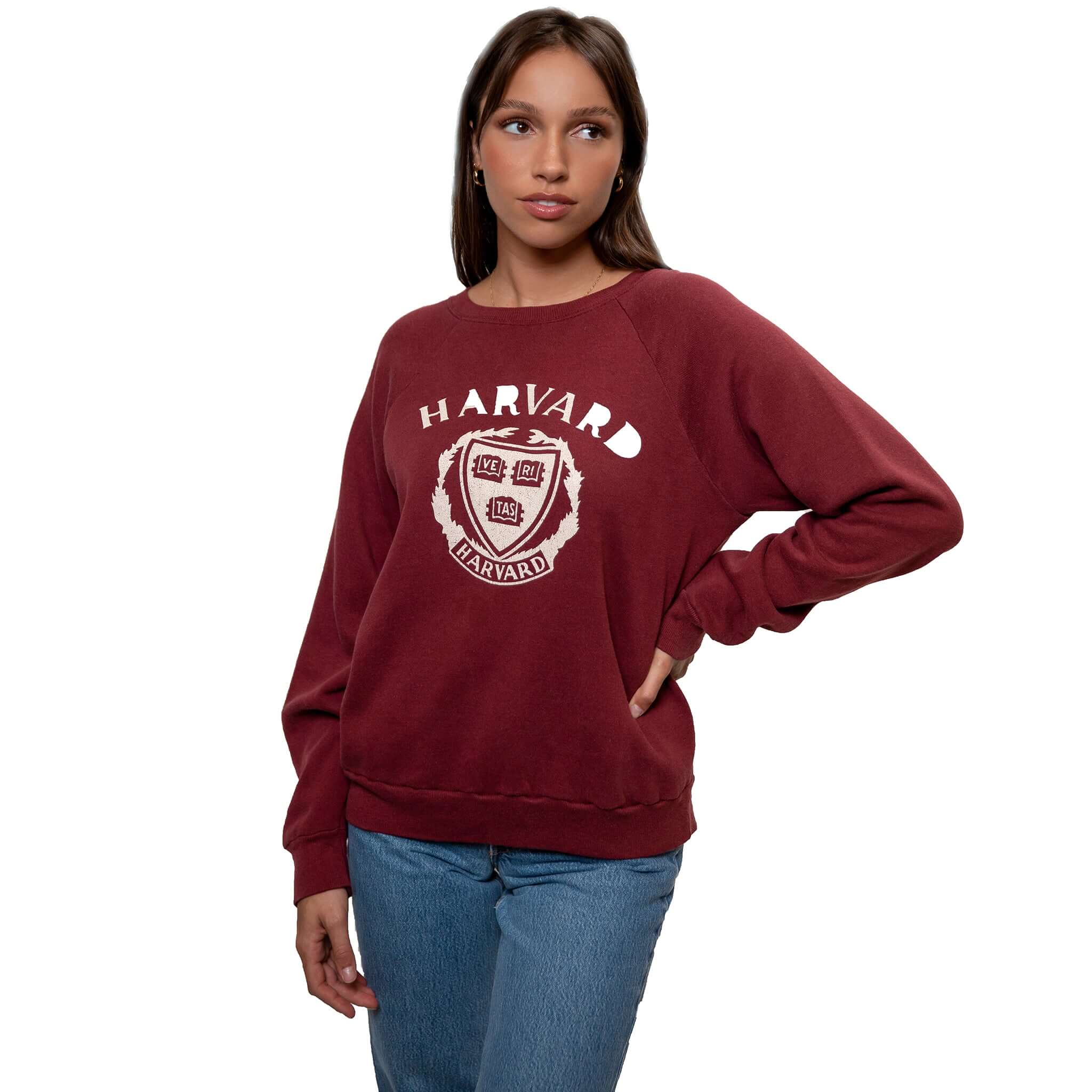 VINTAGE CHAMPION HARVARD UNIVERSITY SWEATSHIRT 1980S LARGE MADE IN USA