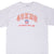 Front close-up of gray San Francisco 49ers NFL T-shirt with red and gold chest embroidery