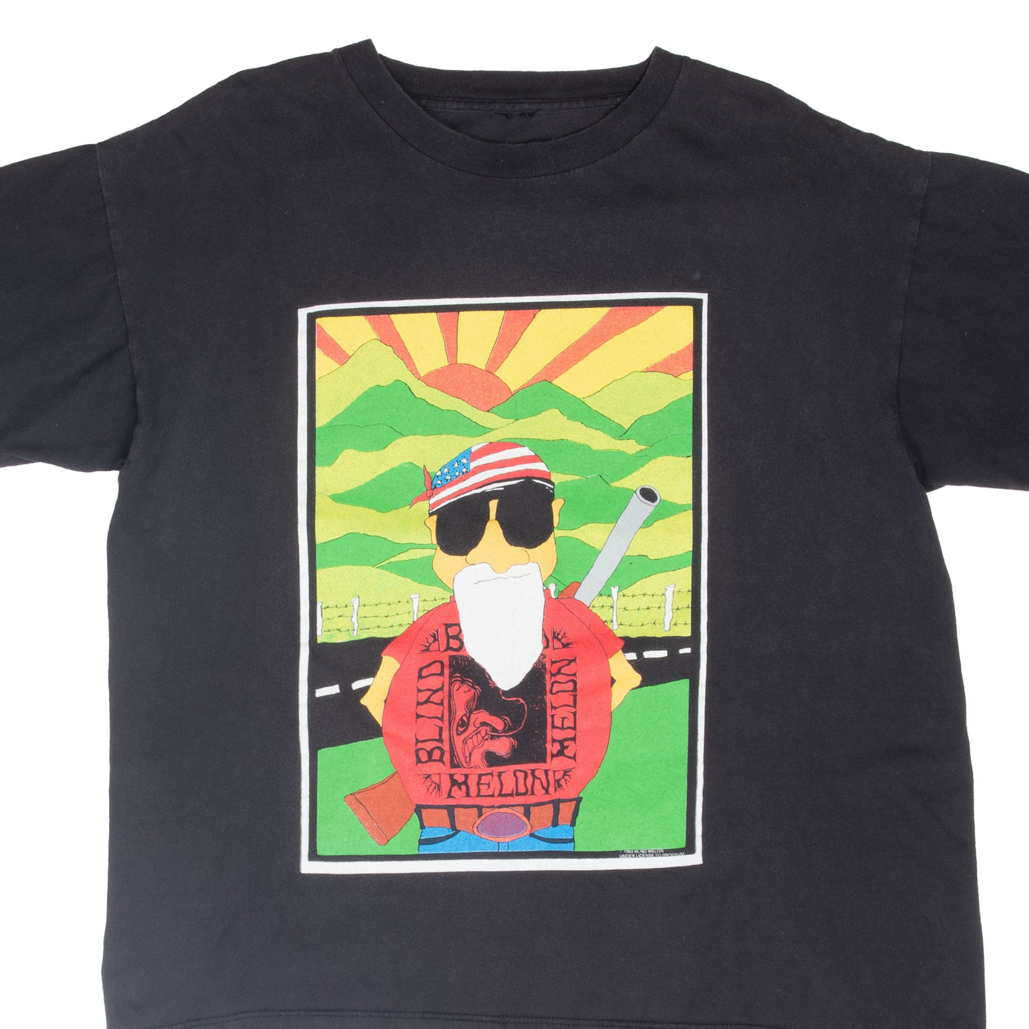 Vintage Blind Melon 1993 Concert Tee Shirt Size XL With Single Stitch Sleeves